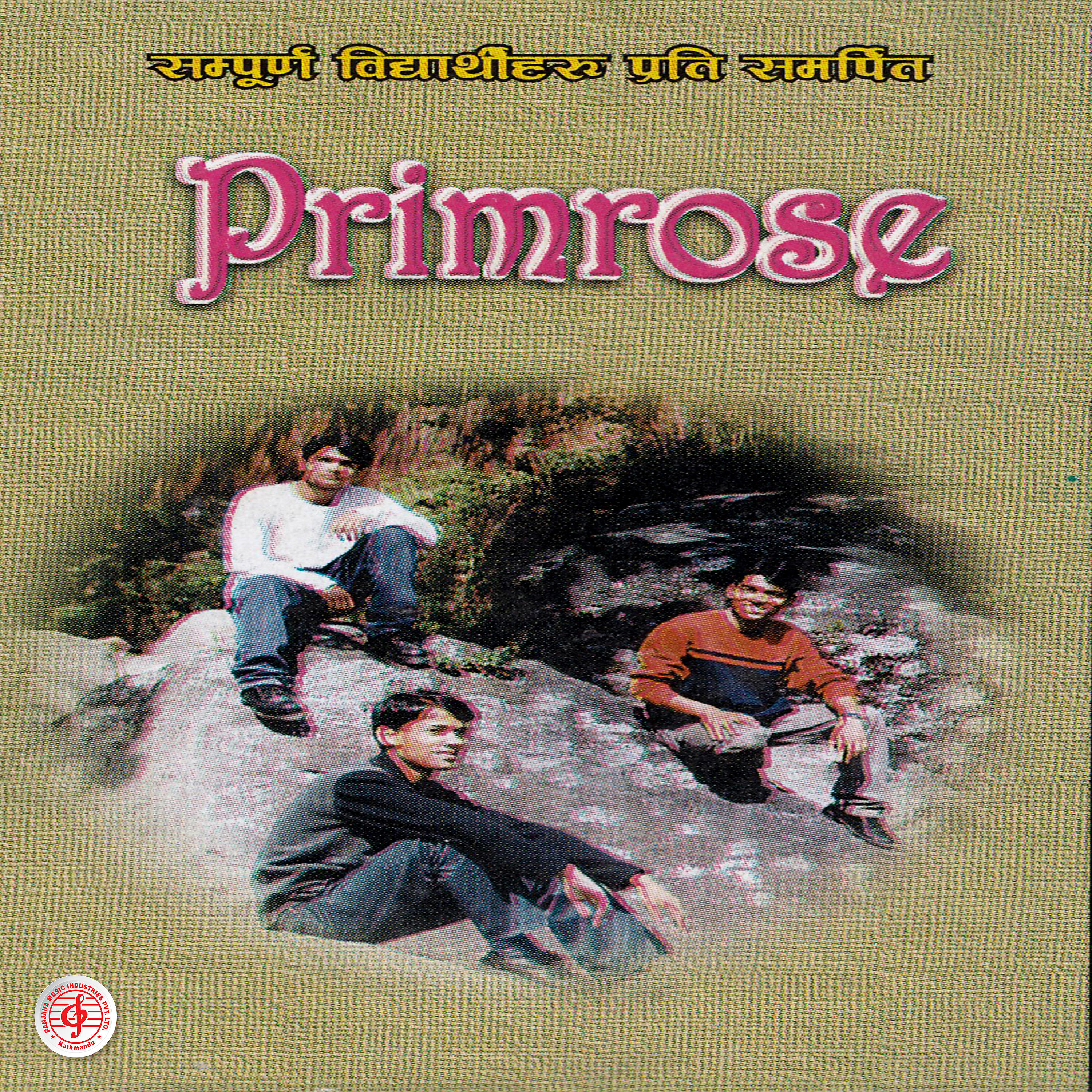Релиз Primrose