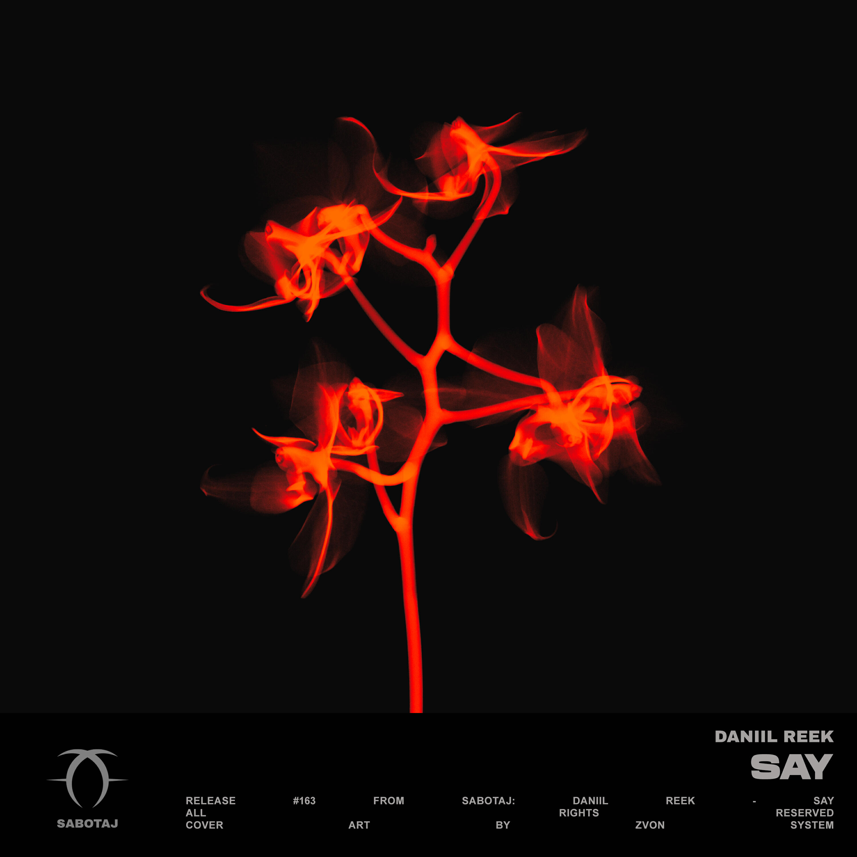 Релиз Say