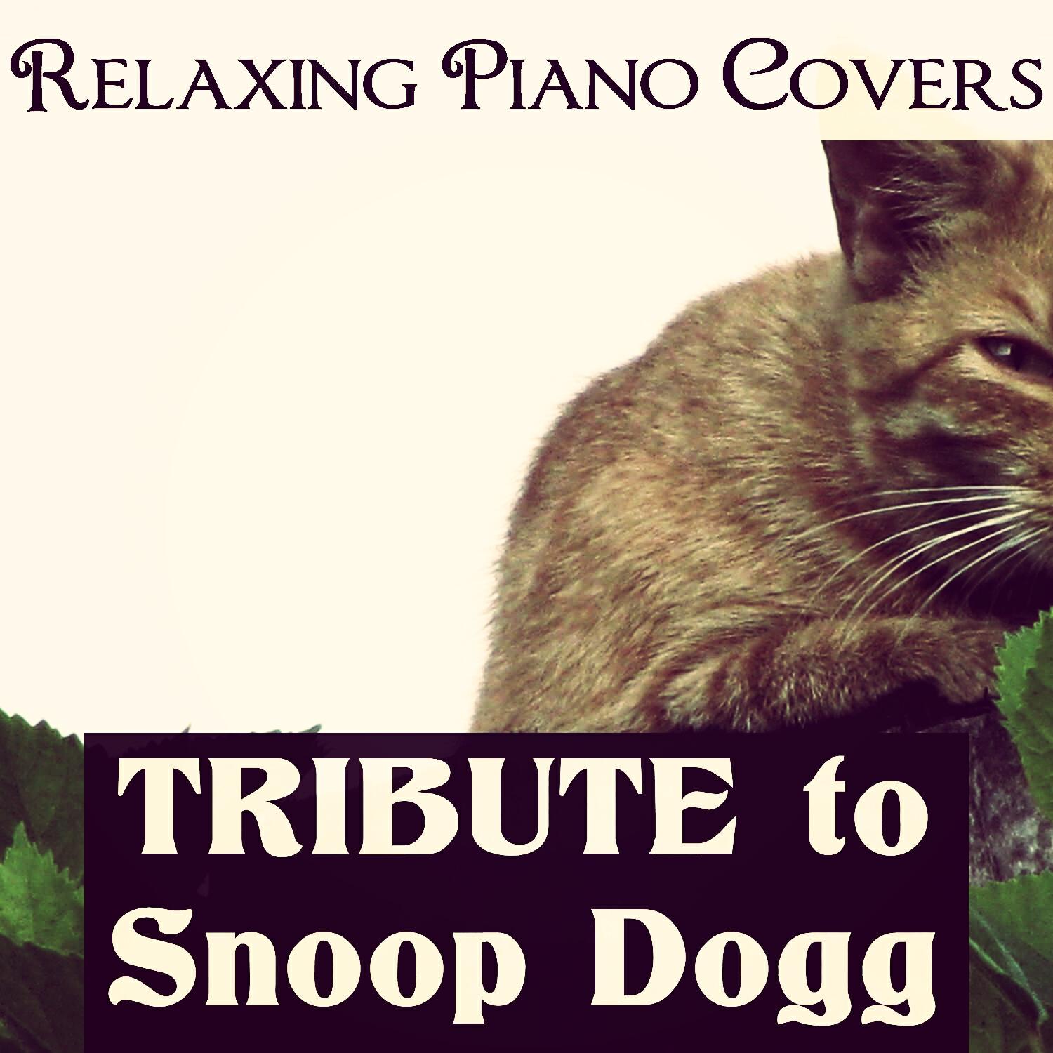 Релиз Tribute to Snoop Dogg