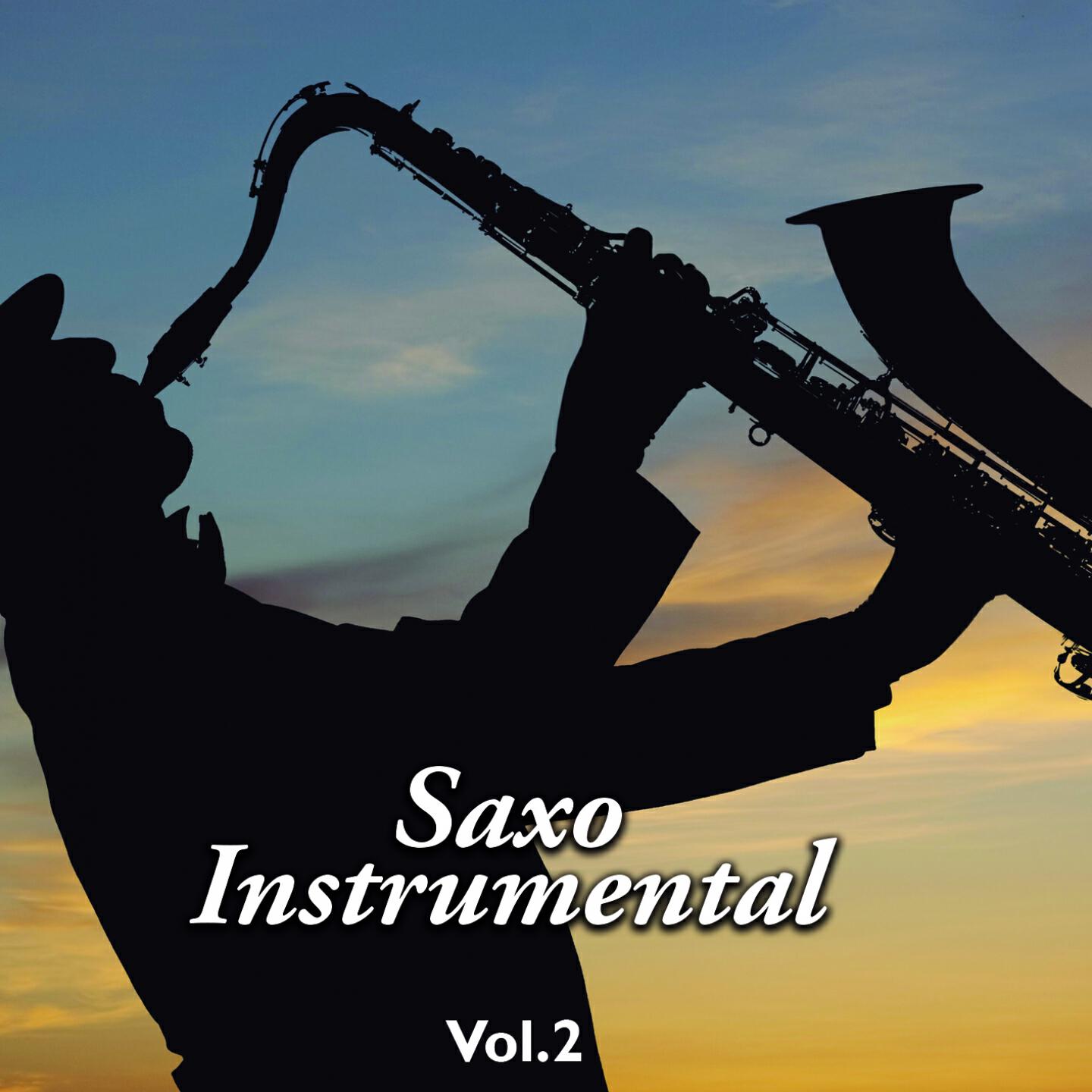 Релиз Saxo Instrumental, Vol. 2