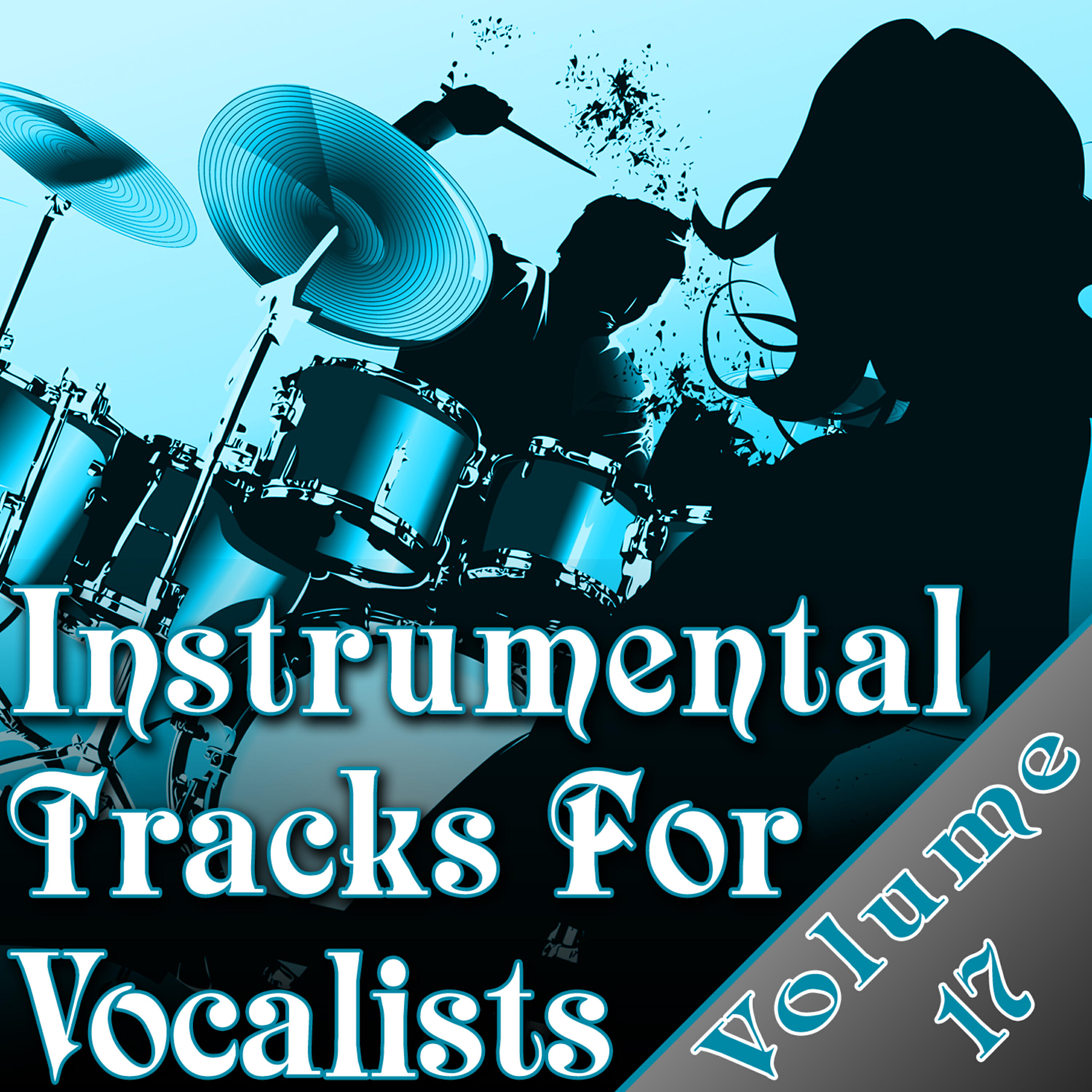 Релиз Instrumental Tracks For Vocalists Vol. 17 - Instrumental Backing Tracks For Singers Minus Vocals