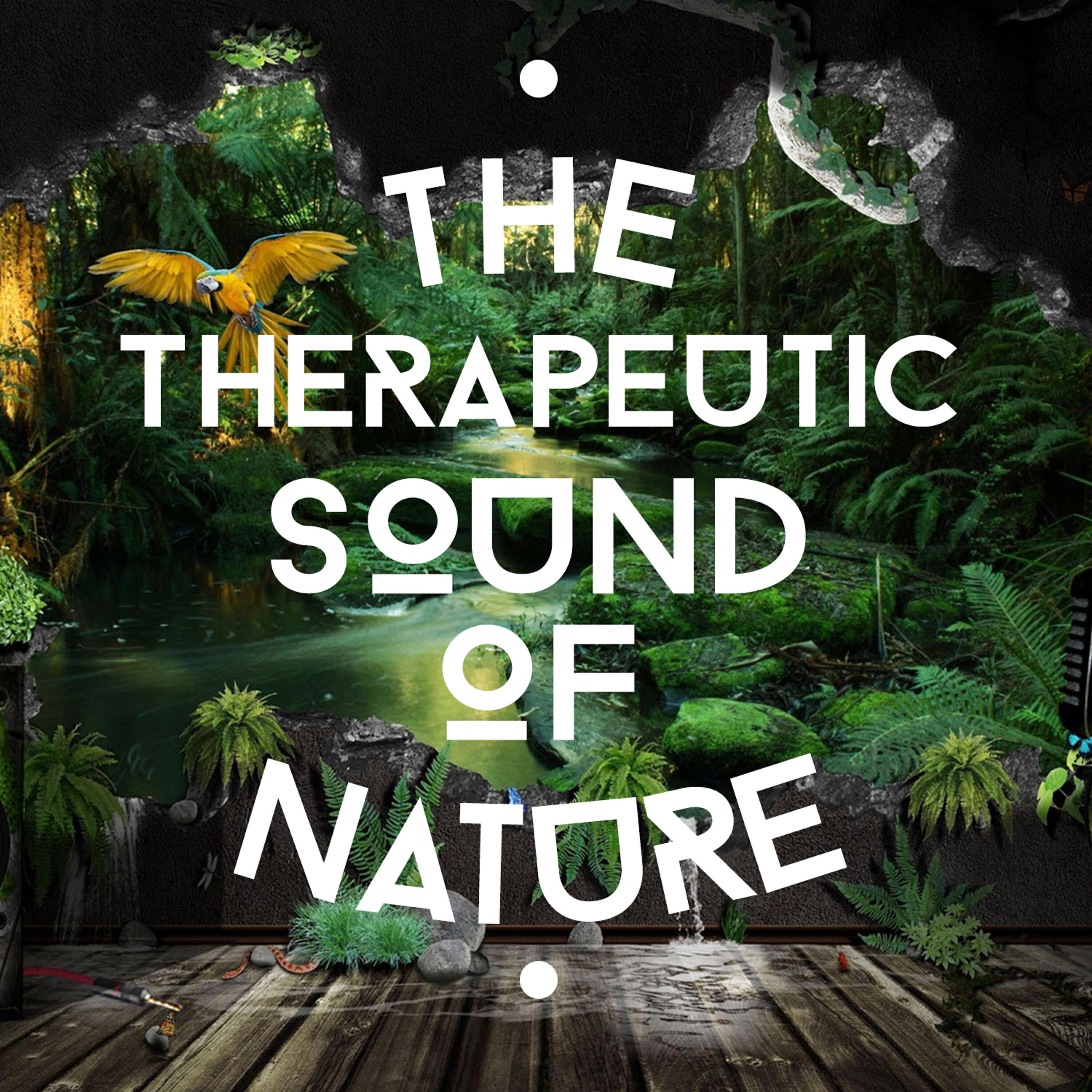 Релиз The Therapeutic Sound of Nature
