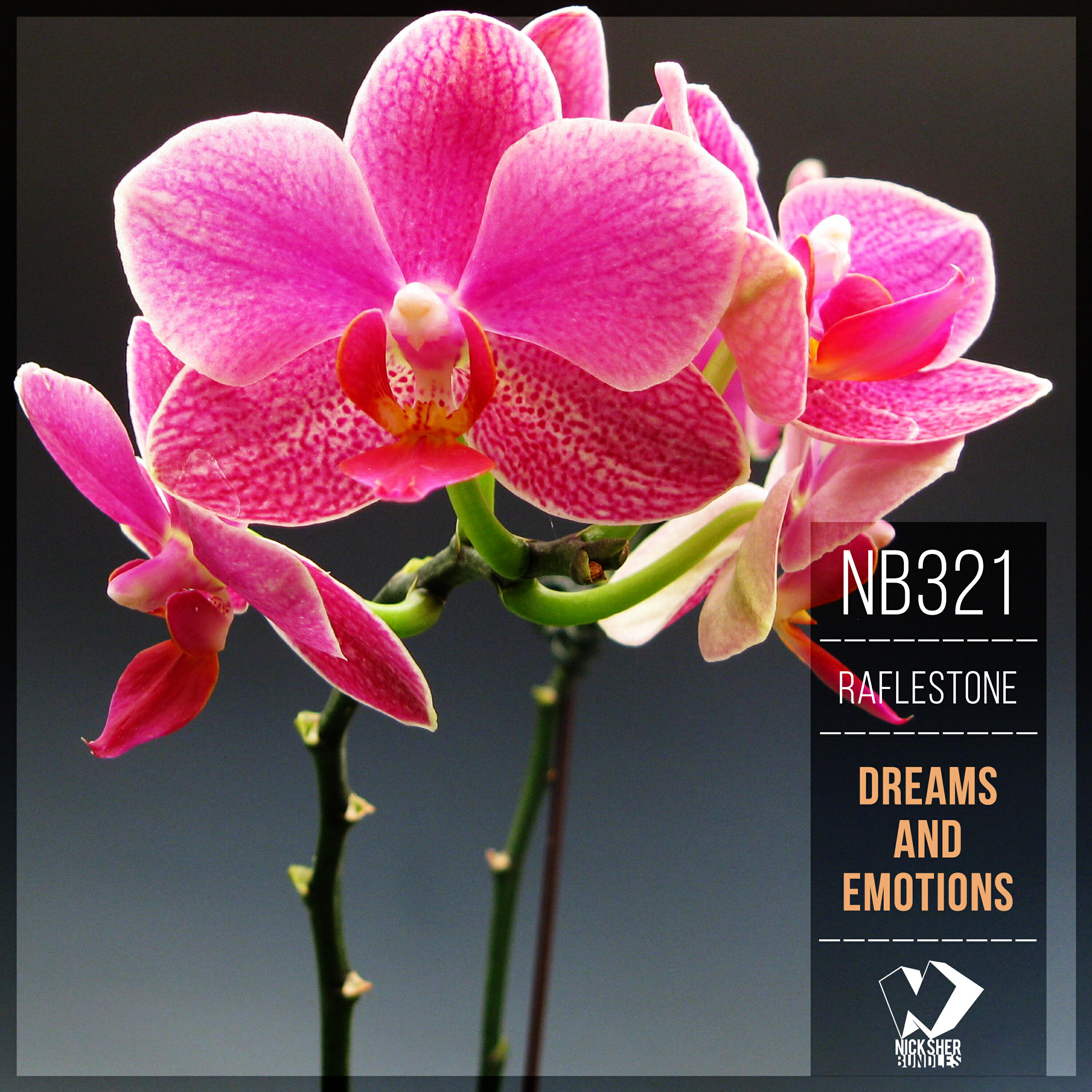 Релиз Dreams and Emotions