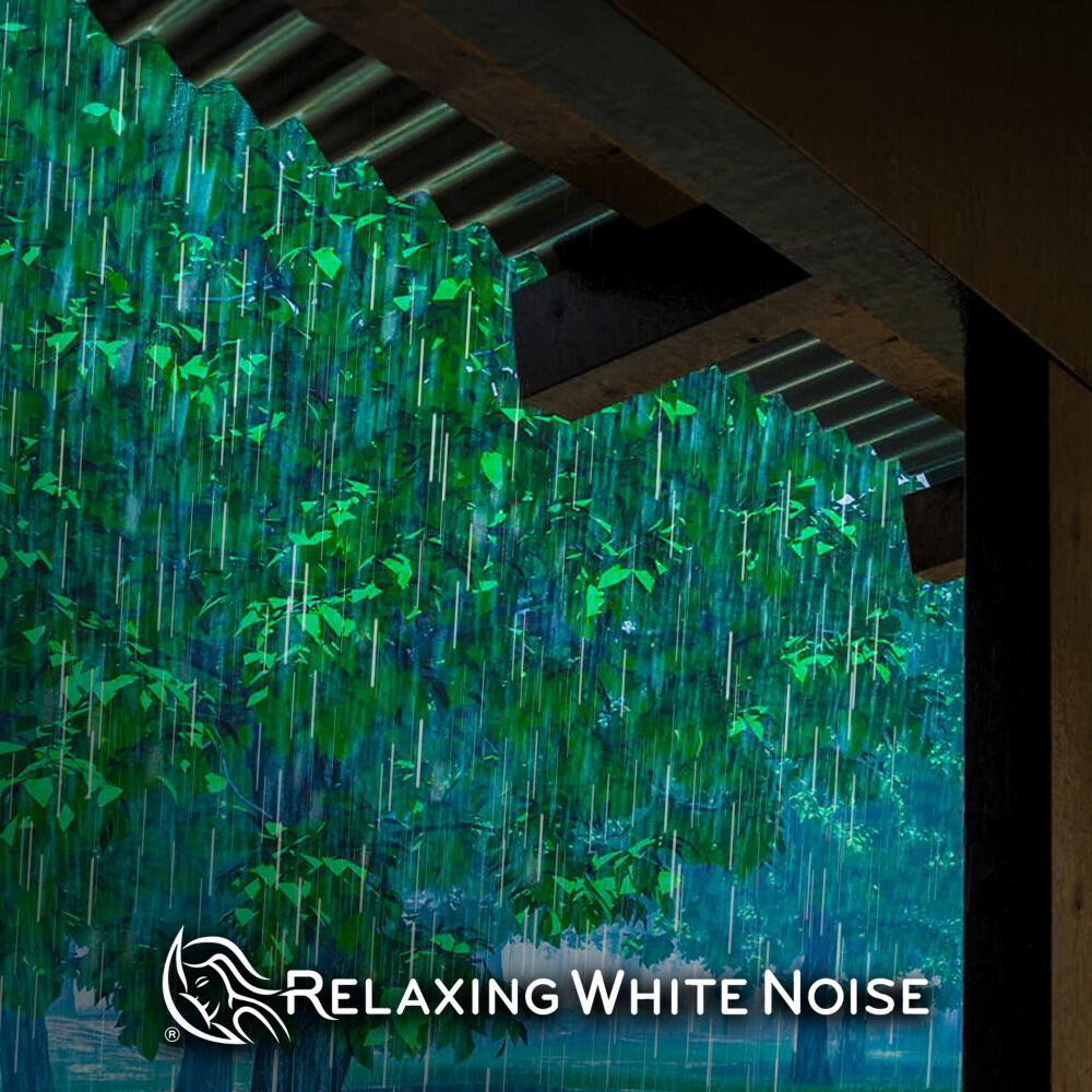 Релиз Relaxing Rain Sounds on Tin Roof for Sleep Loop (No Fade)