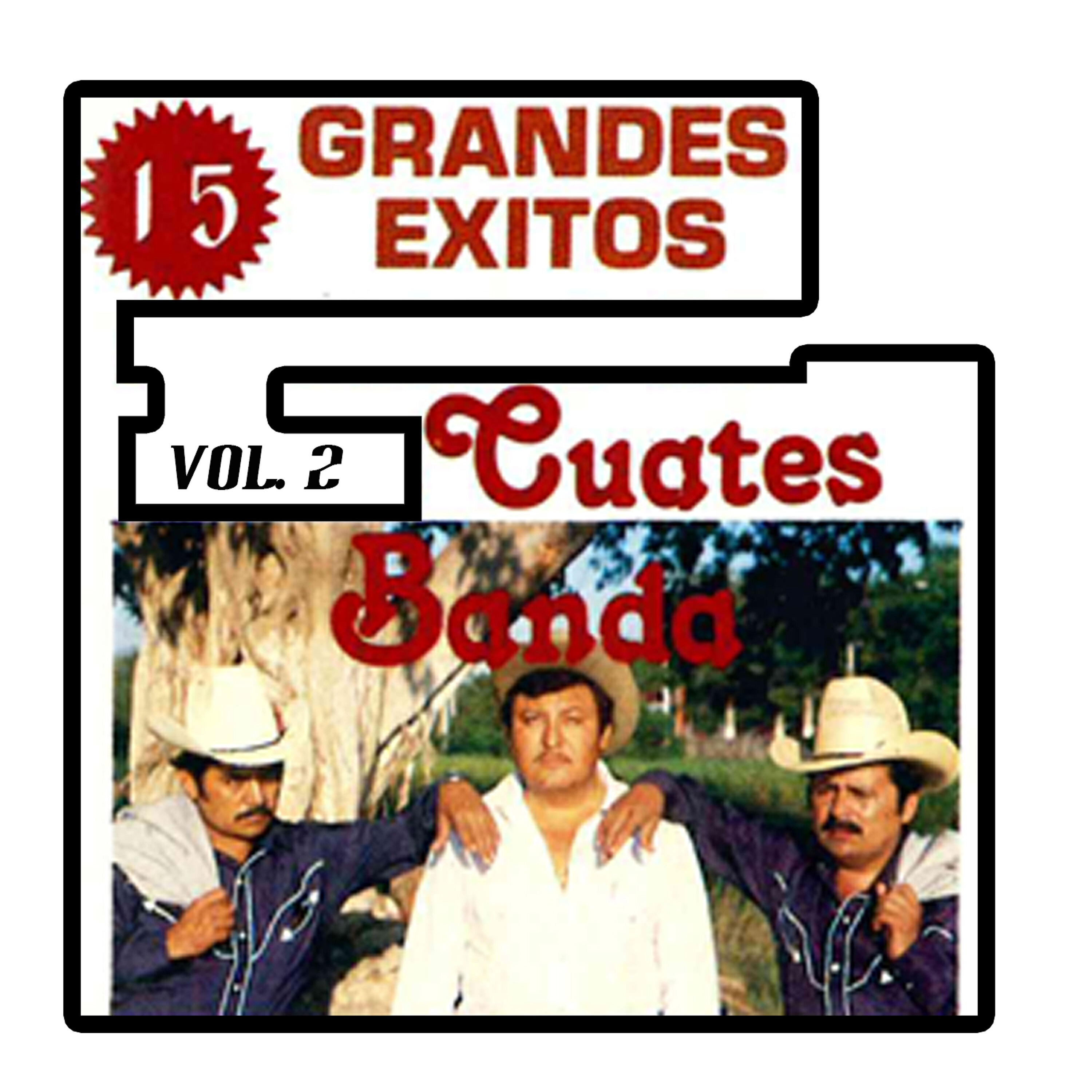 Релиз 15 Grandes Exitos, Vol. 2