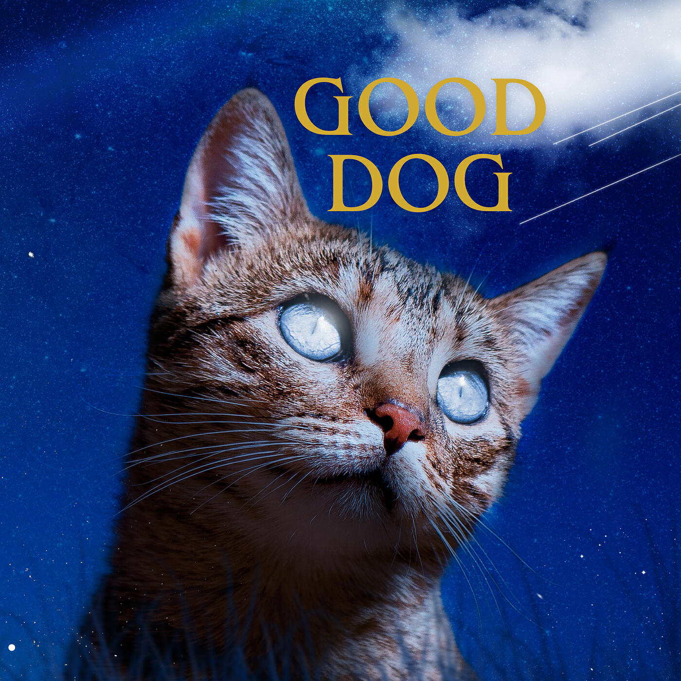 Релиз Good Dog