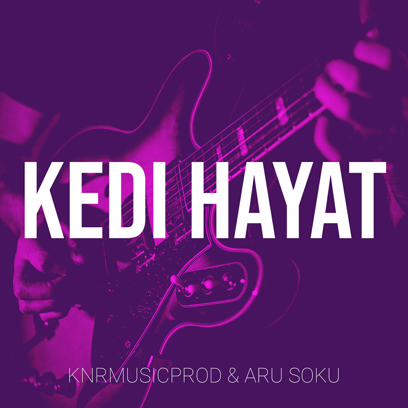 Релиз Kedi Hayat