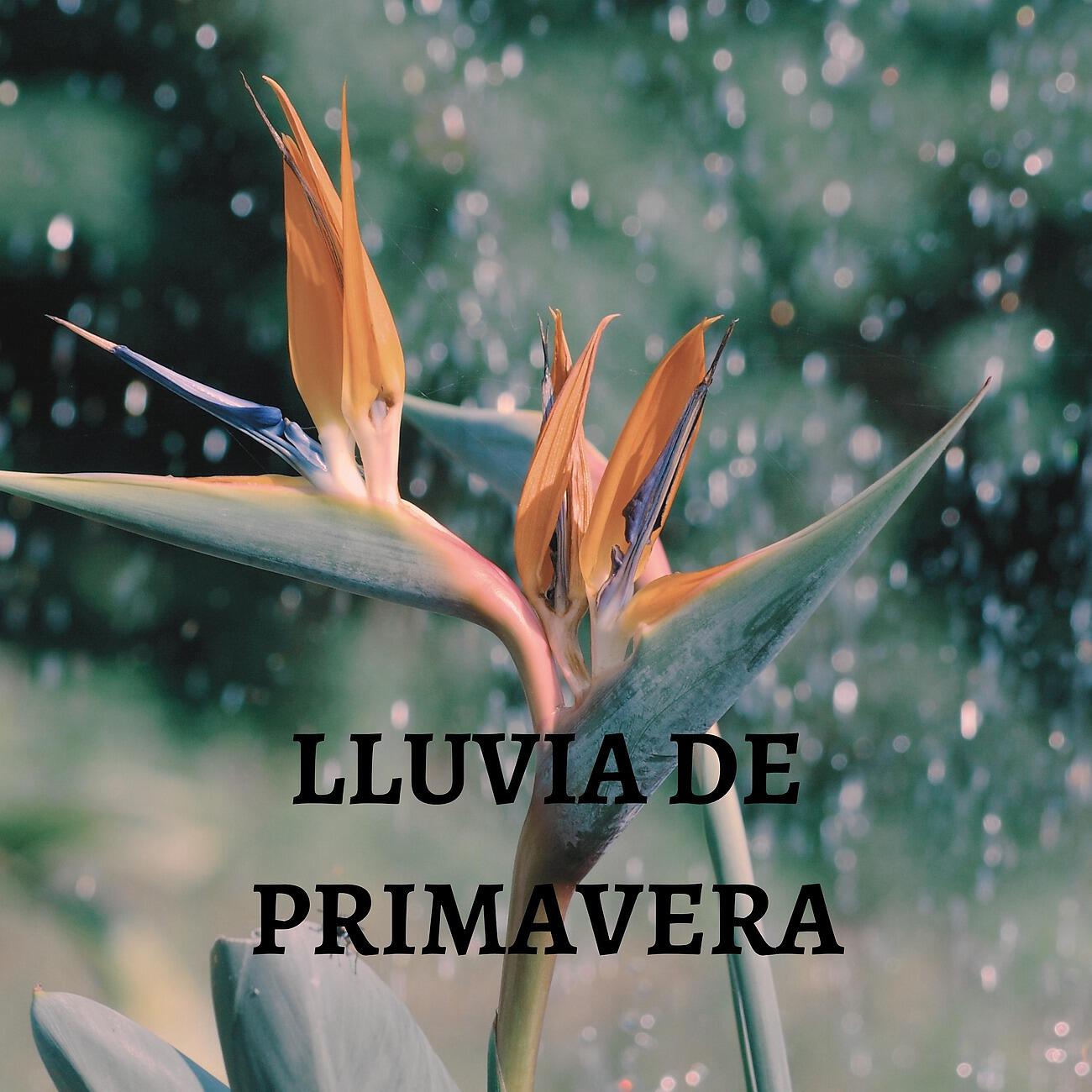 Релиз Lluvia De Primavera