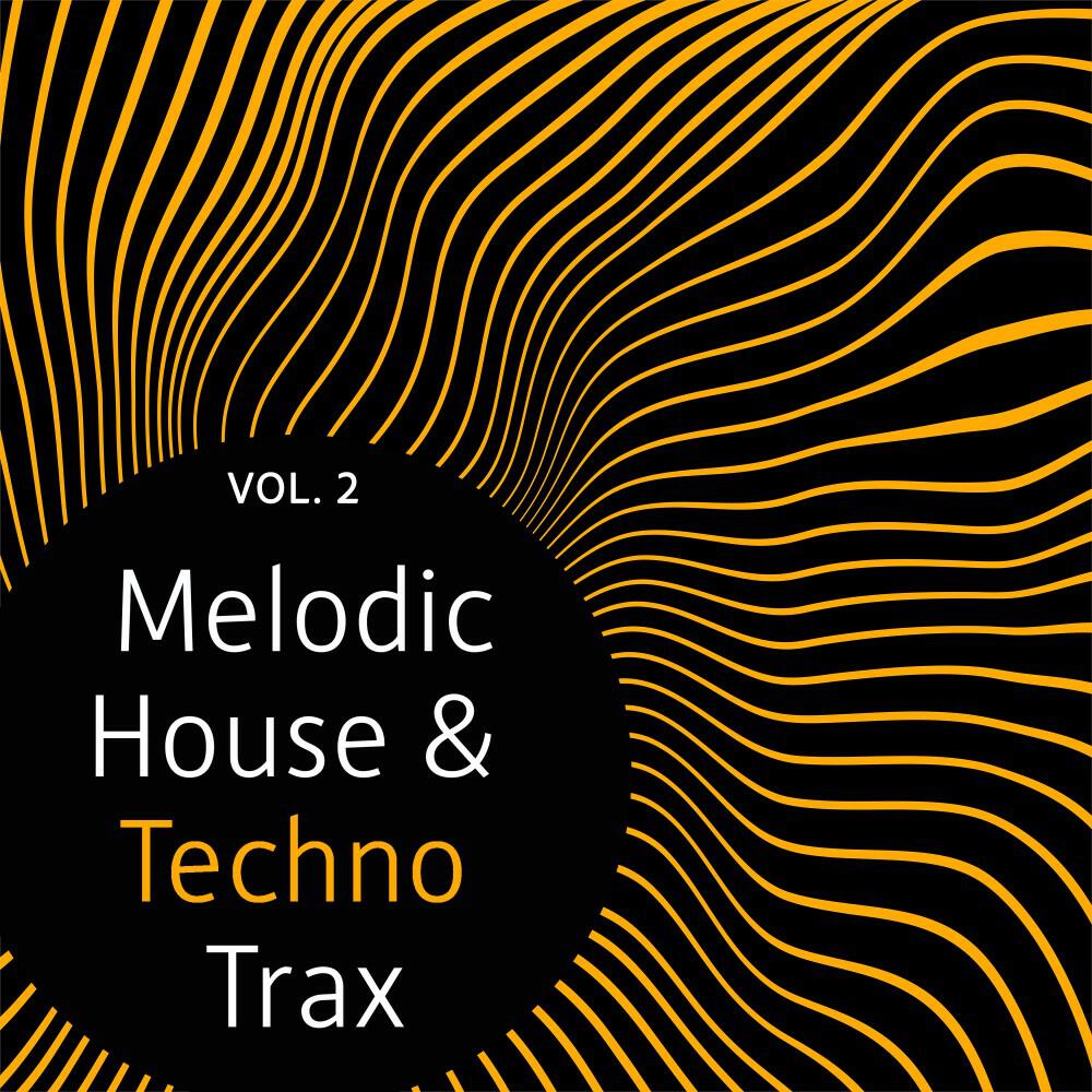 Релиз Melodic House & Techno Trax, Vol. 2
