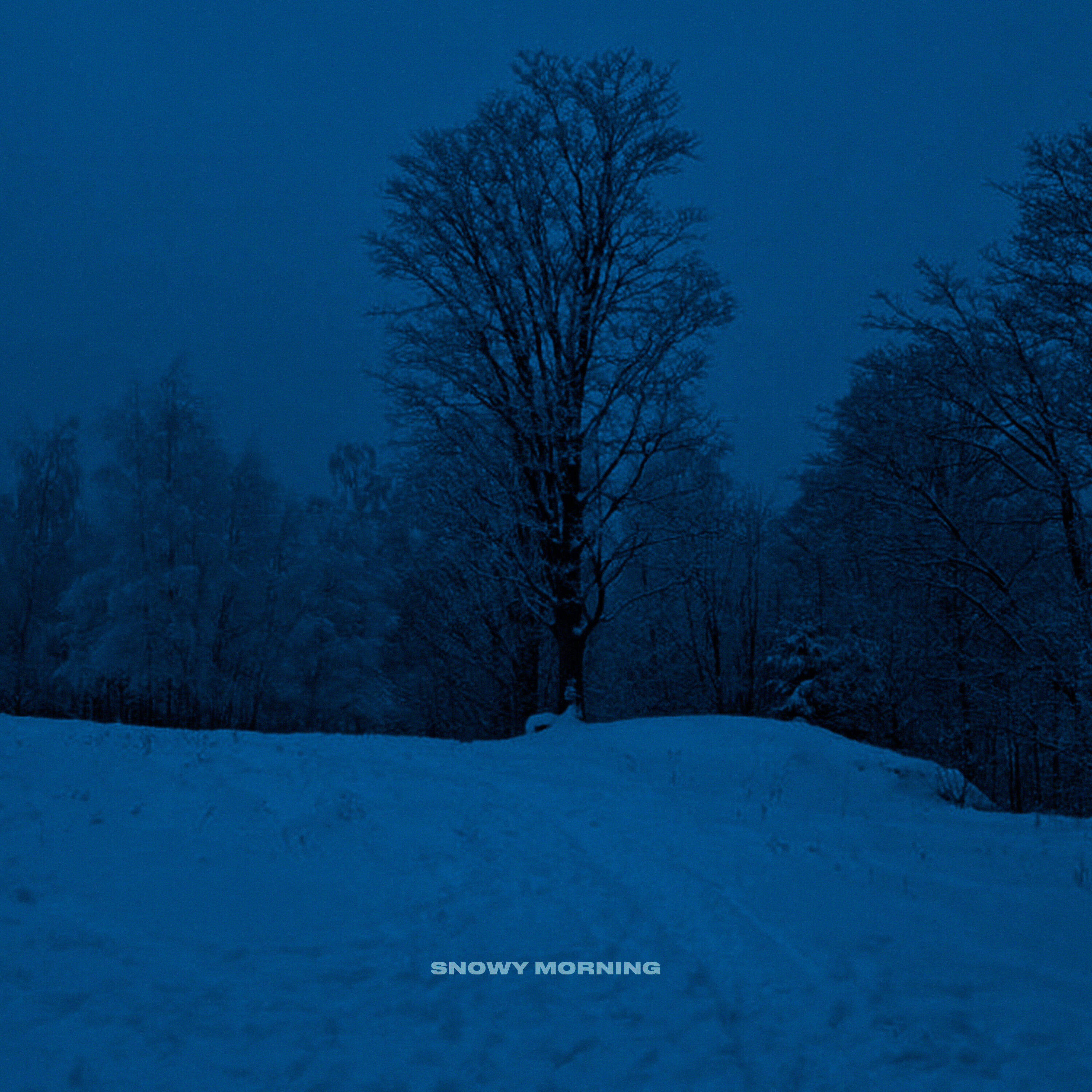 Релиз snowy morning