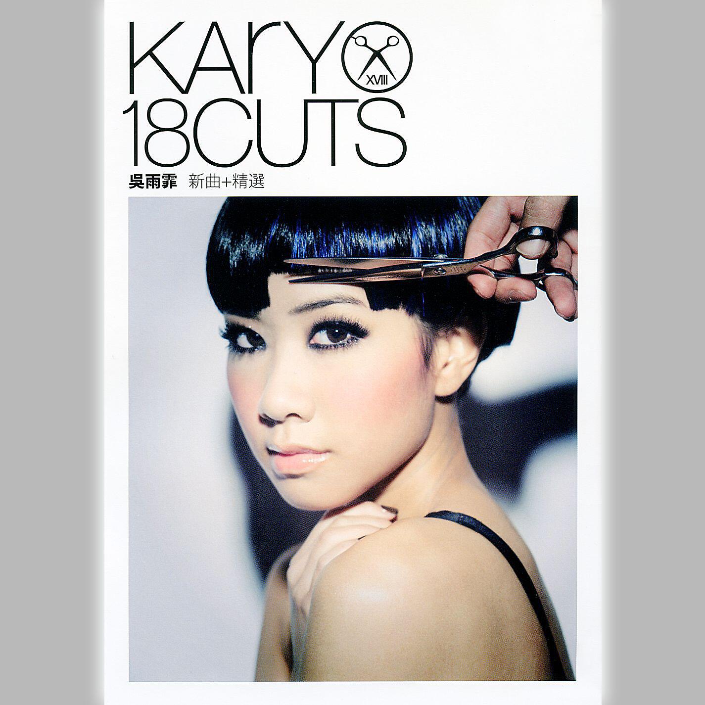 Релиз Kary 18 Cut The New Song Selections