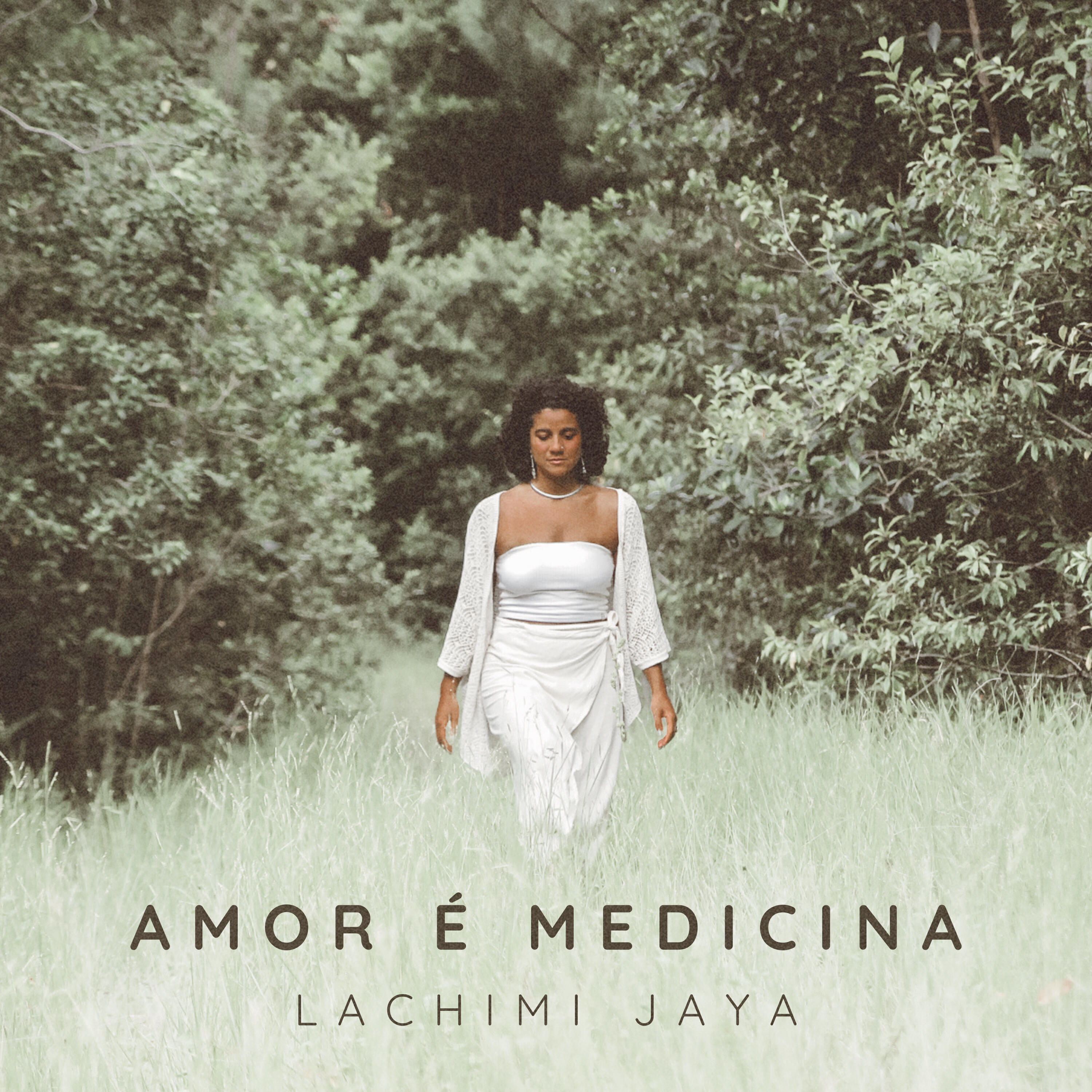 Lachimi Jaya