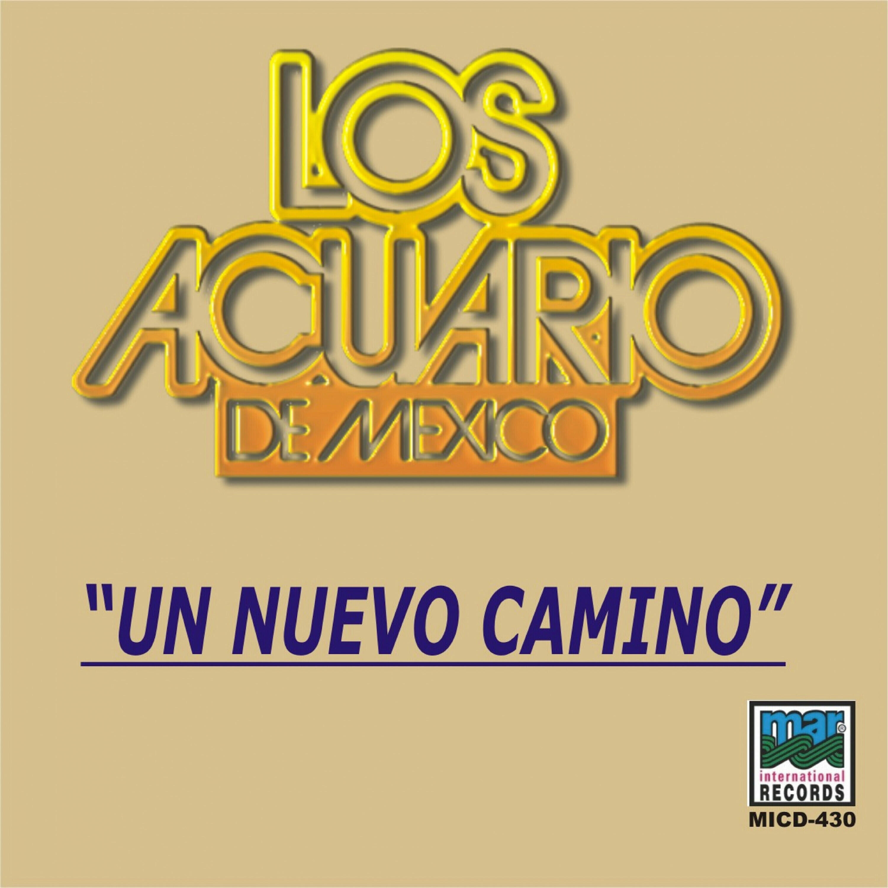 Релиз Un Nuevo Camino