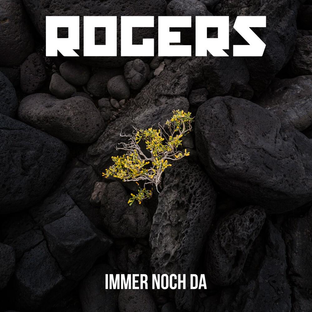 Релиз Immer Noch Da (Kollektion)