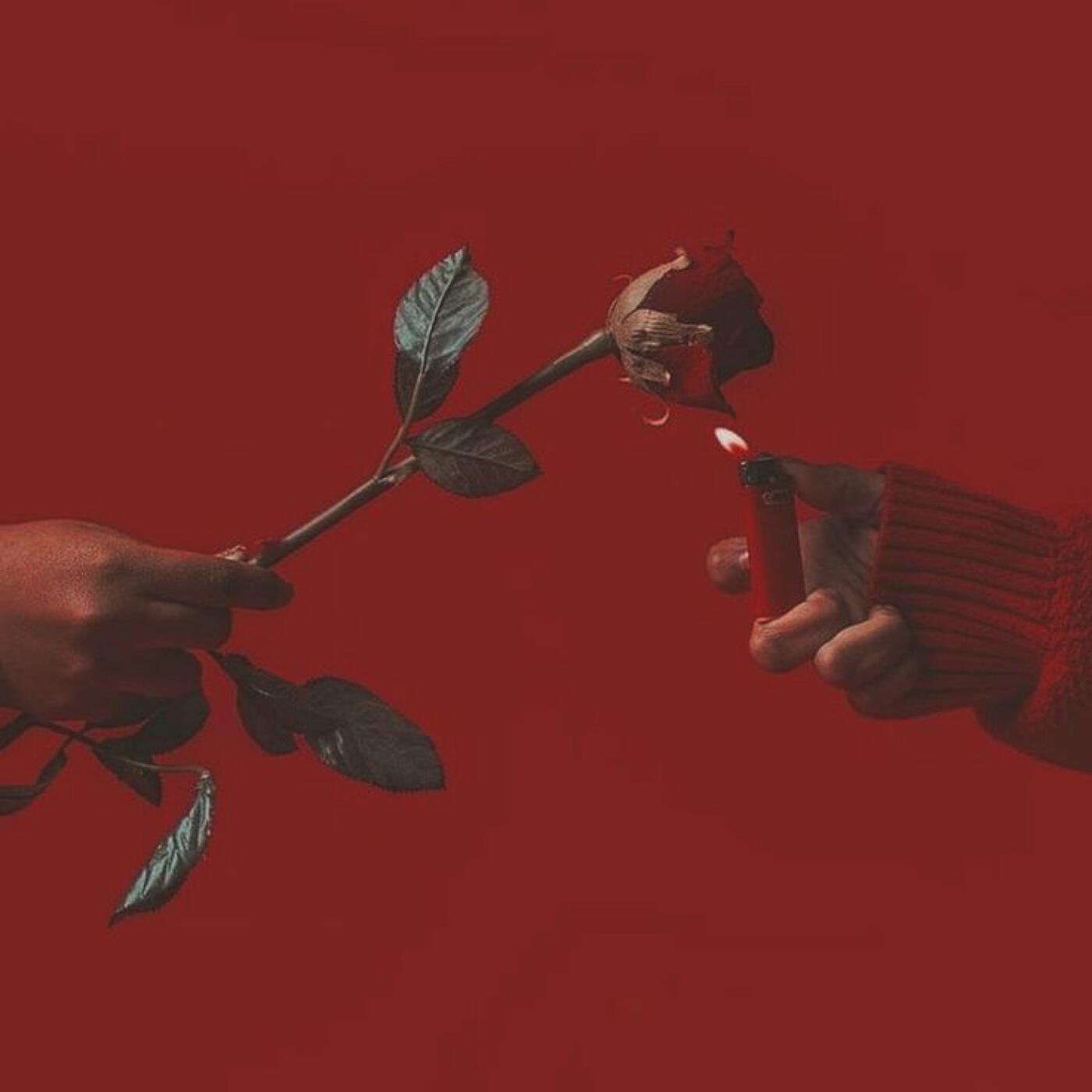 Релиз Poeta torturadx