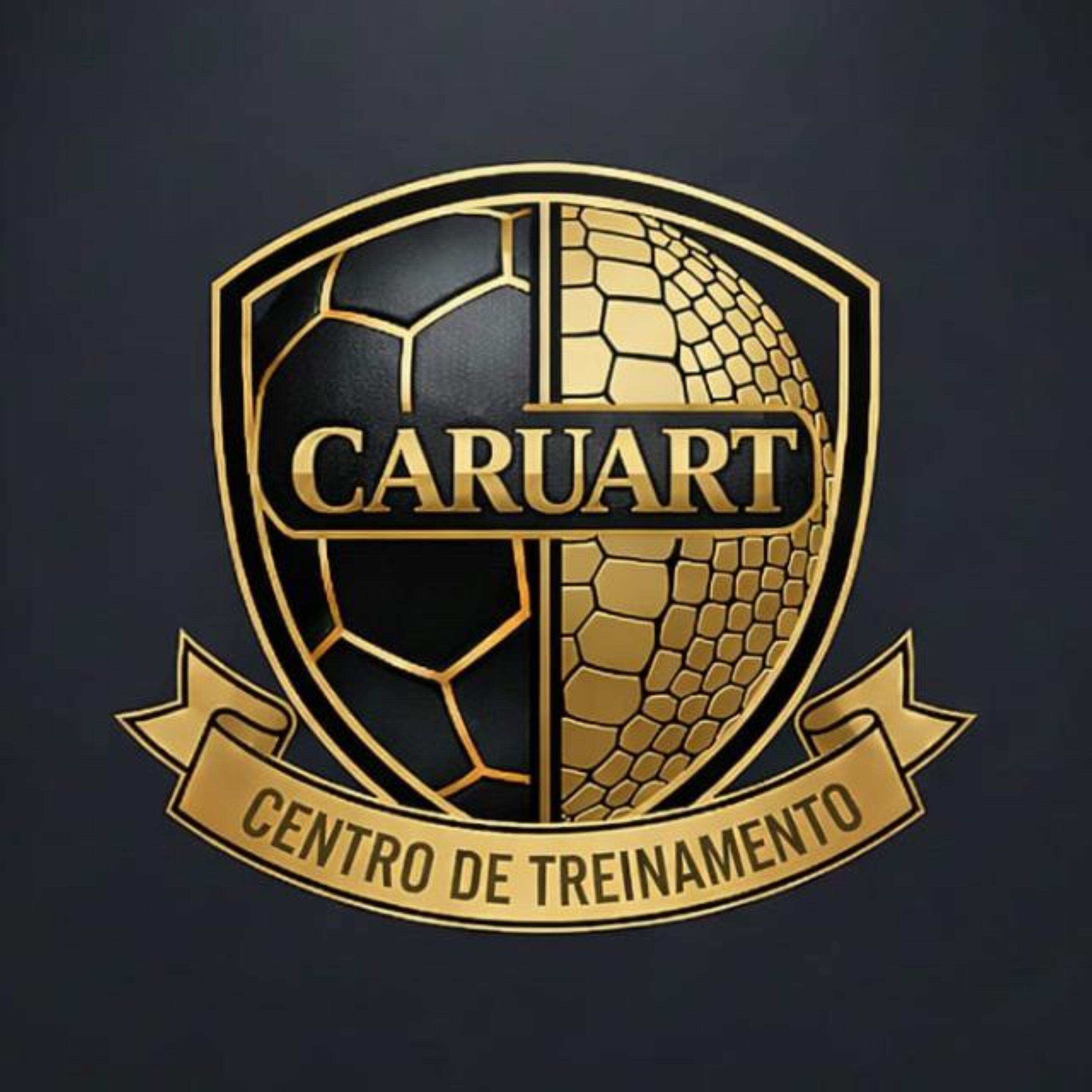Релиз Caruart