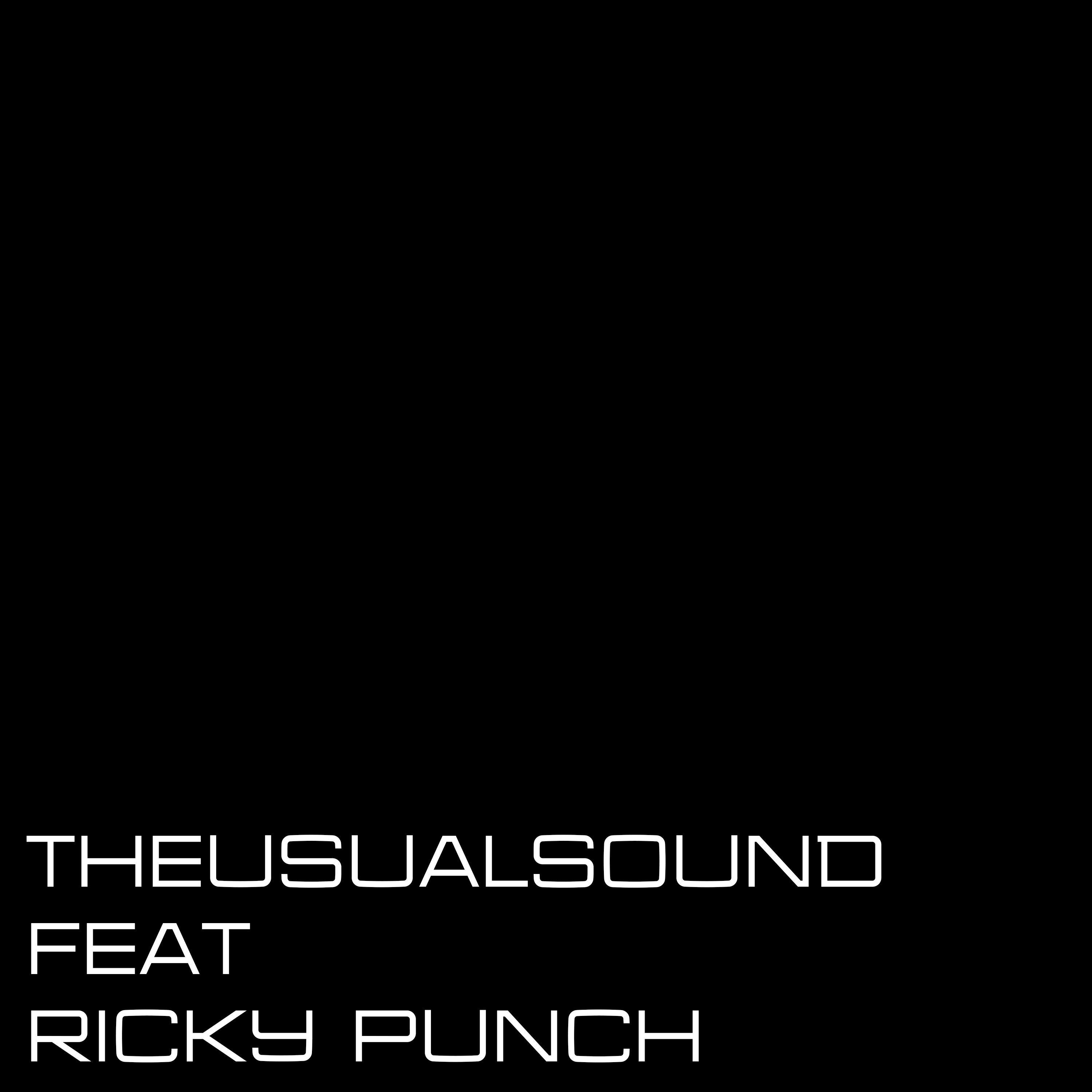 Ricky Punch