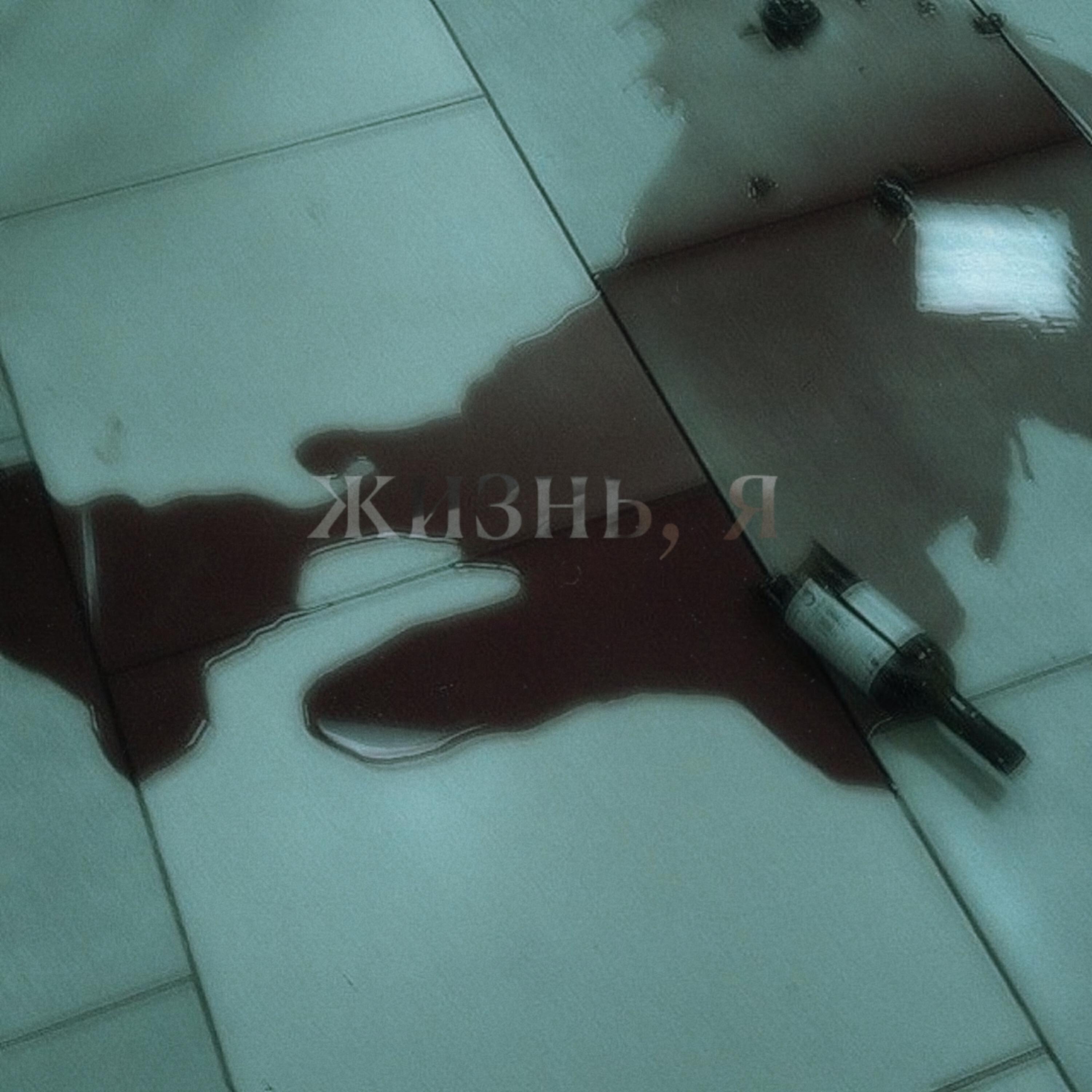 Релиз Жизнь, я