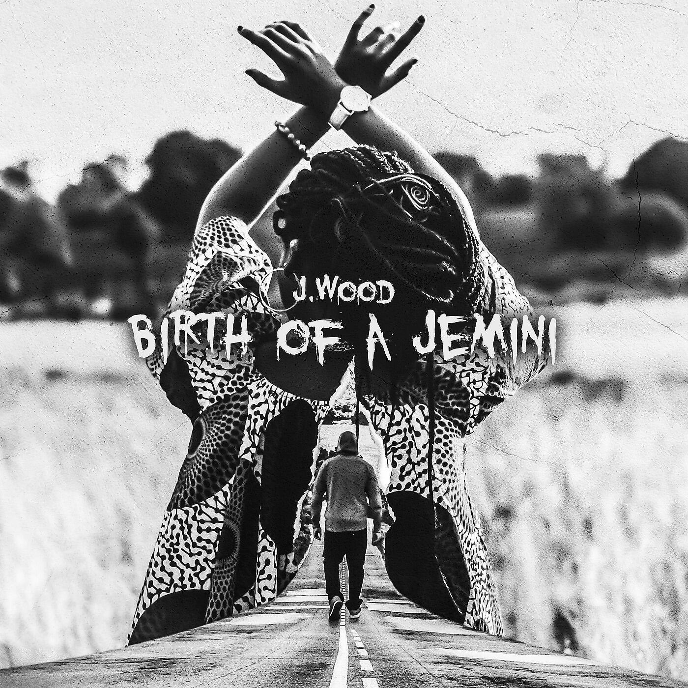 Релиз Birth of a Jemini