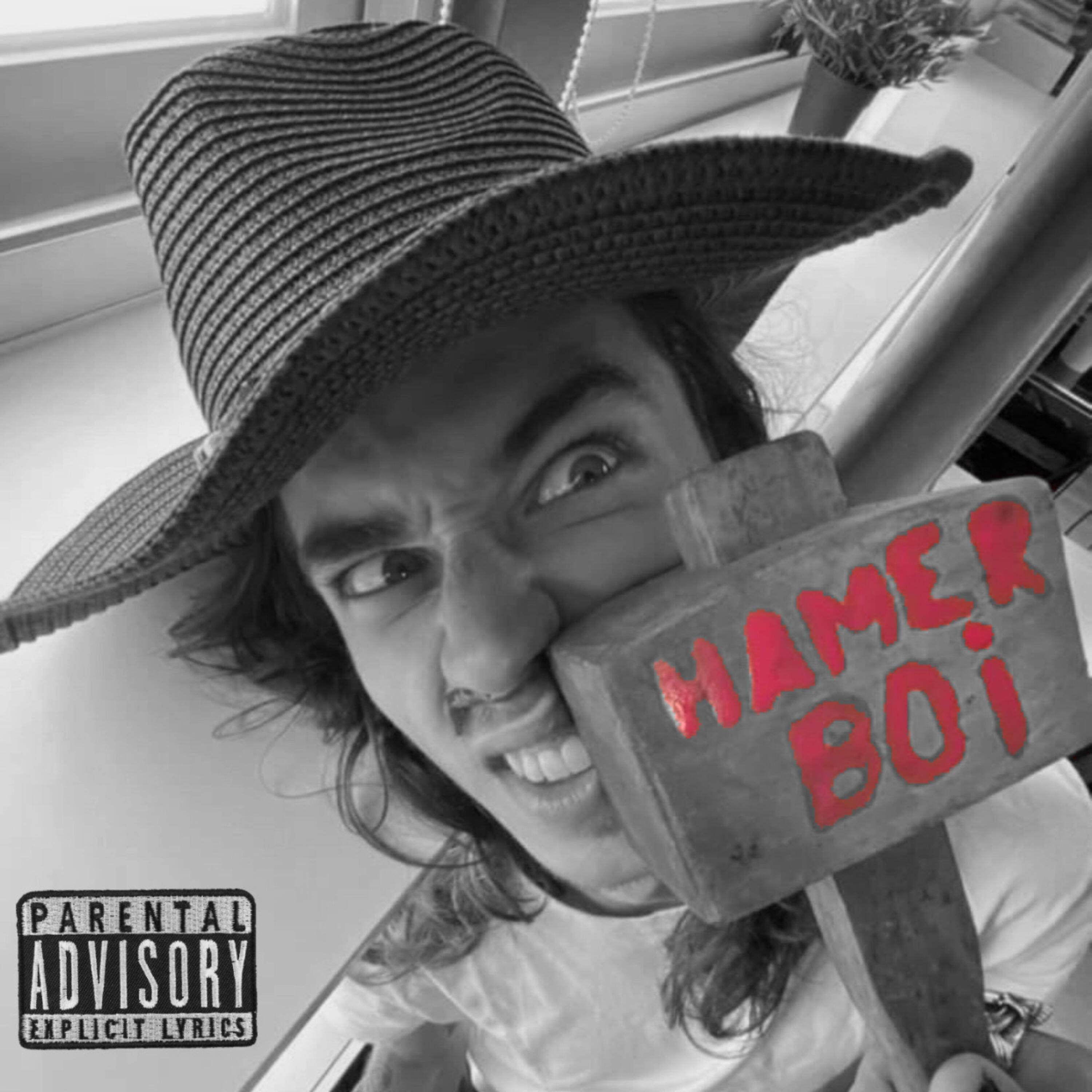 Релиз Hamer Boi