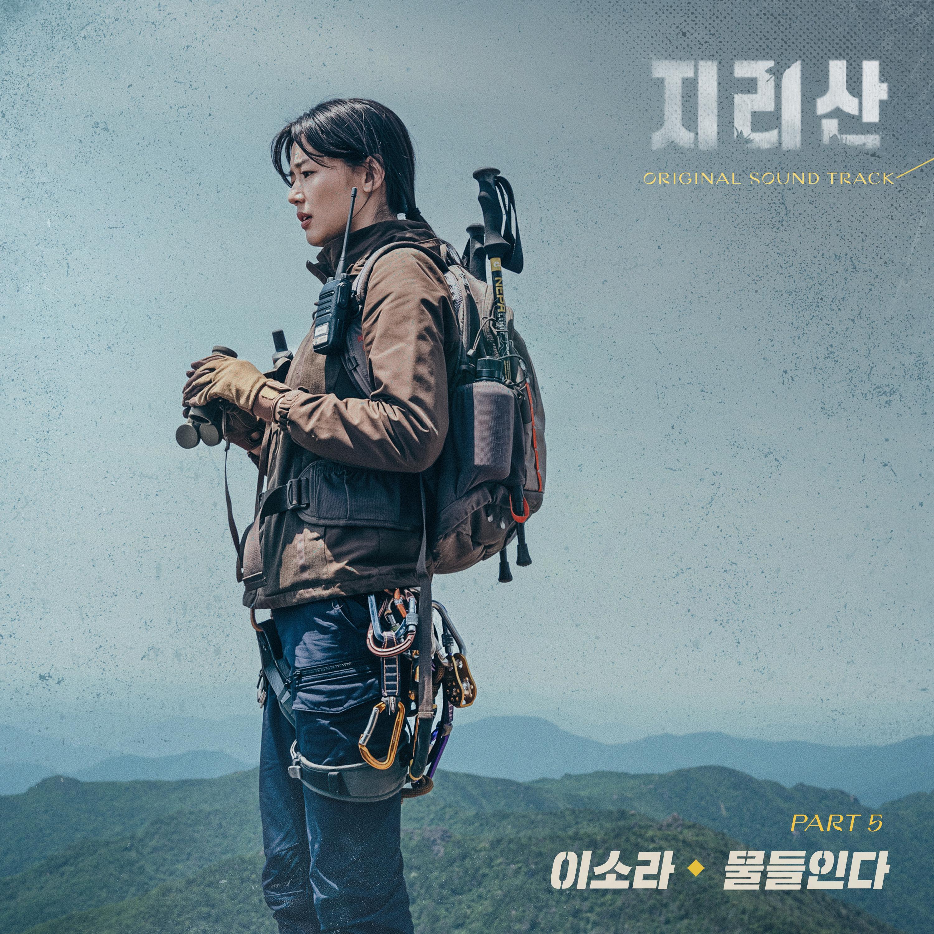 Релиз Jirisan (Original Television Soundtrack) Pt. 5