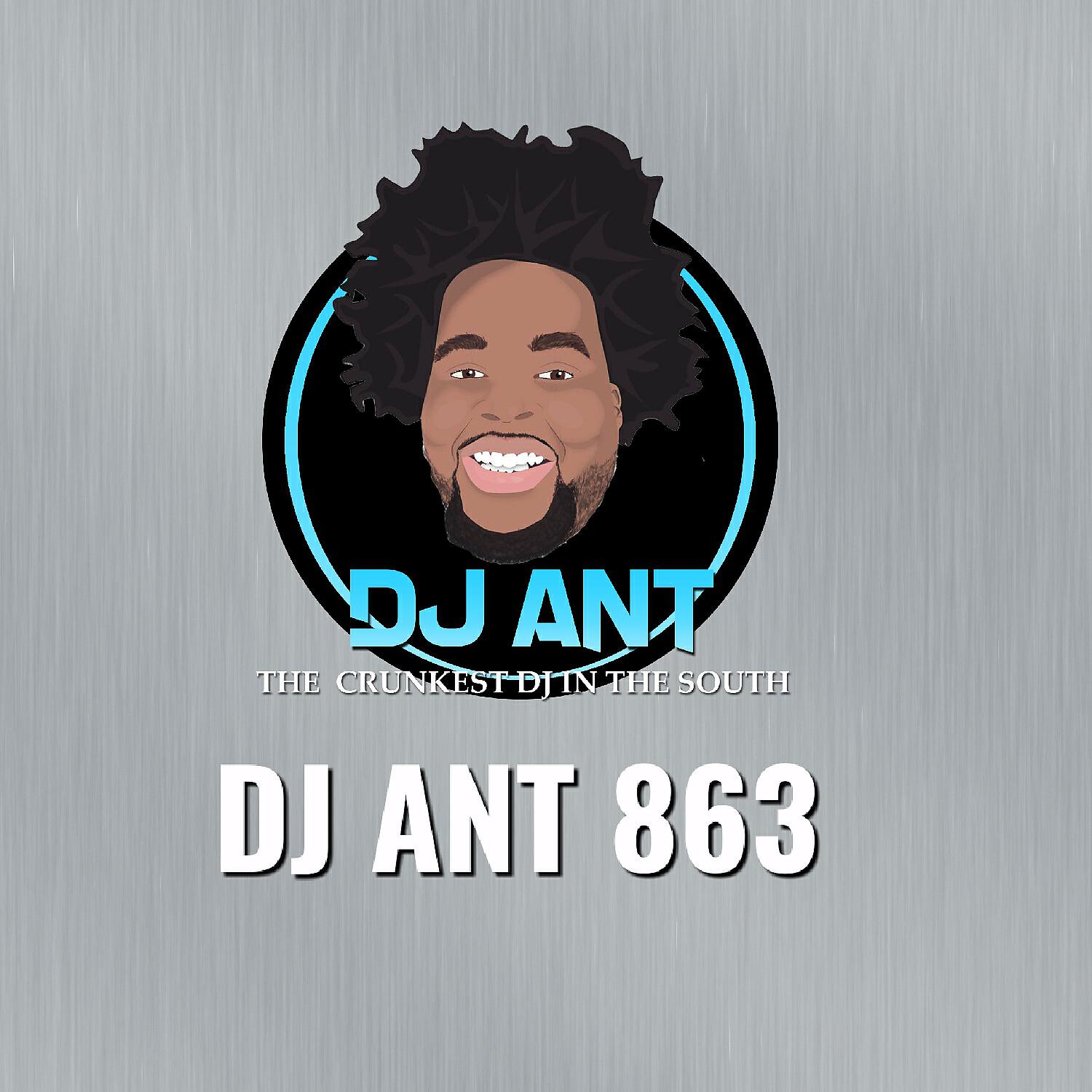 Dj Ant 863