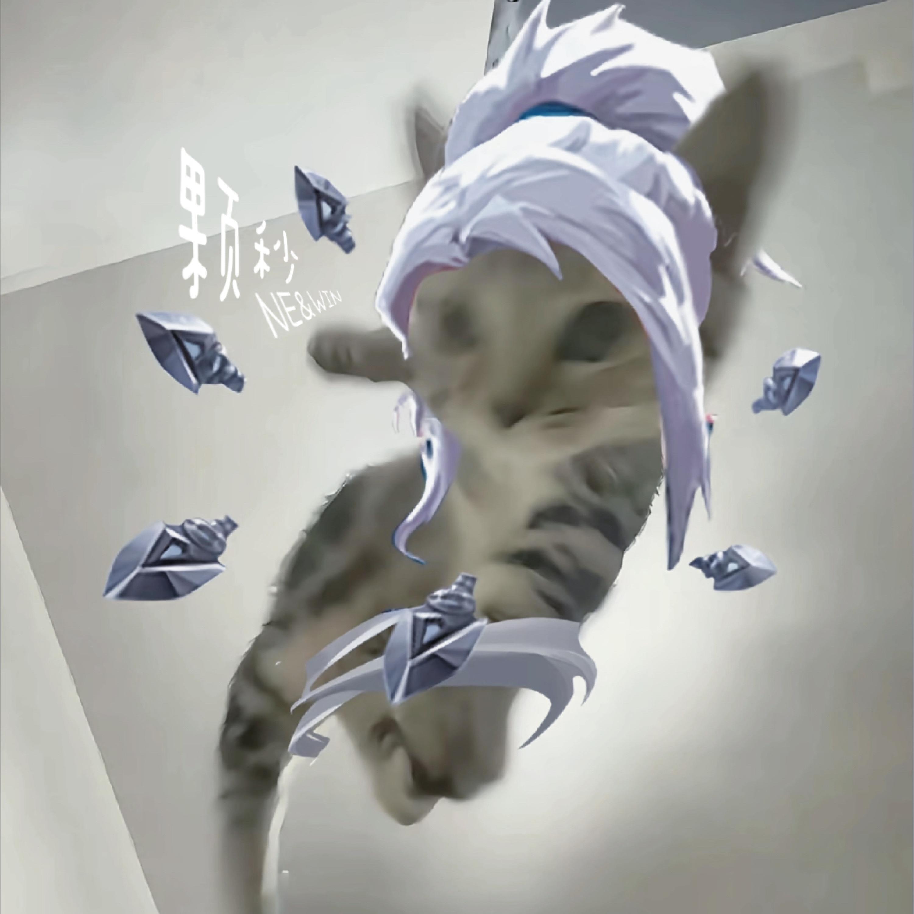 Релиз 颗秒