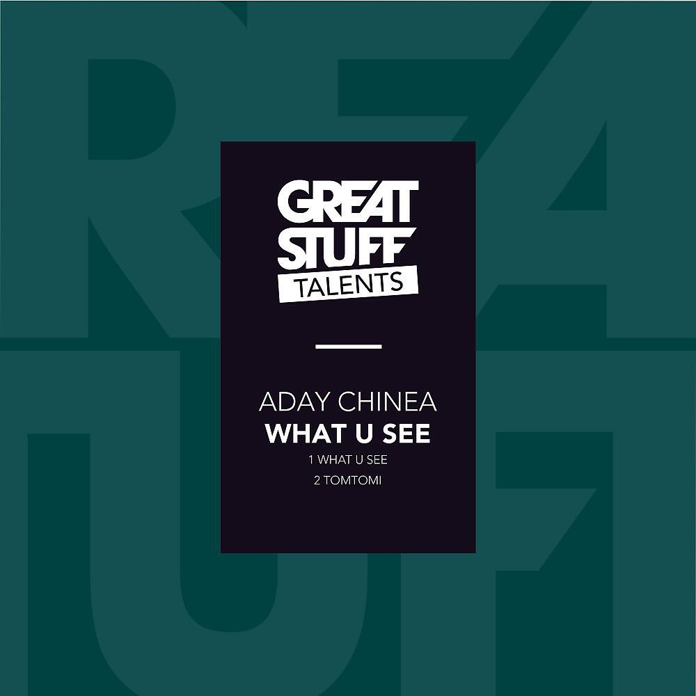 Релиз What U See