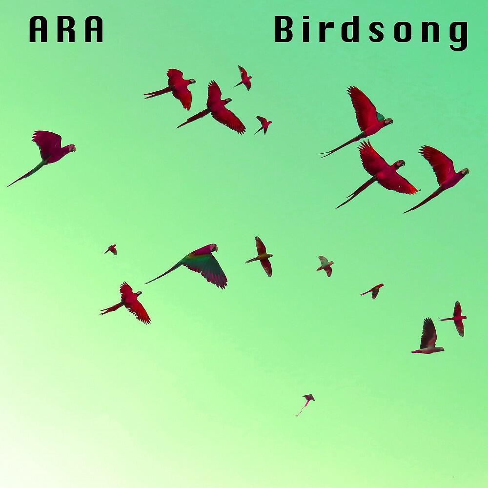 Релиз Birdsong