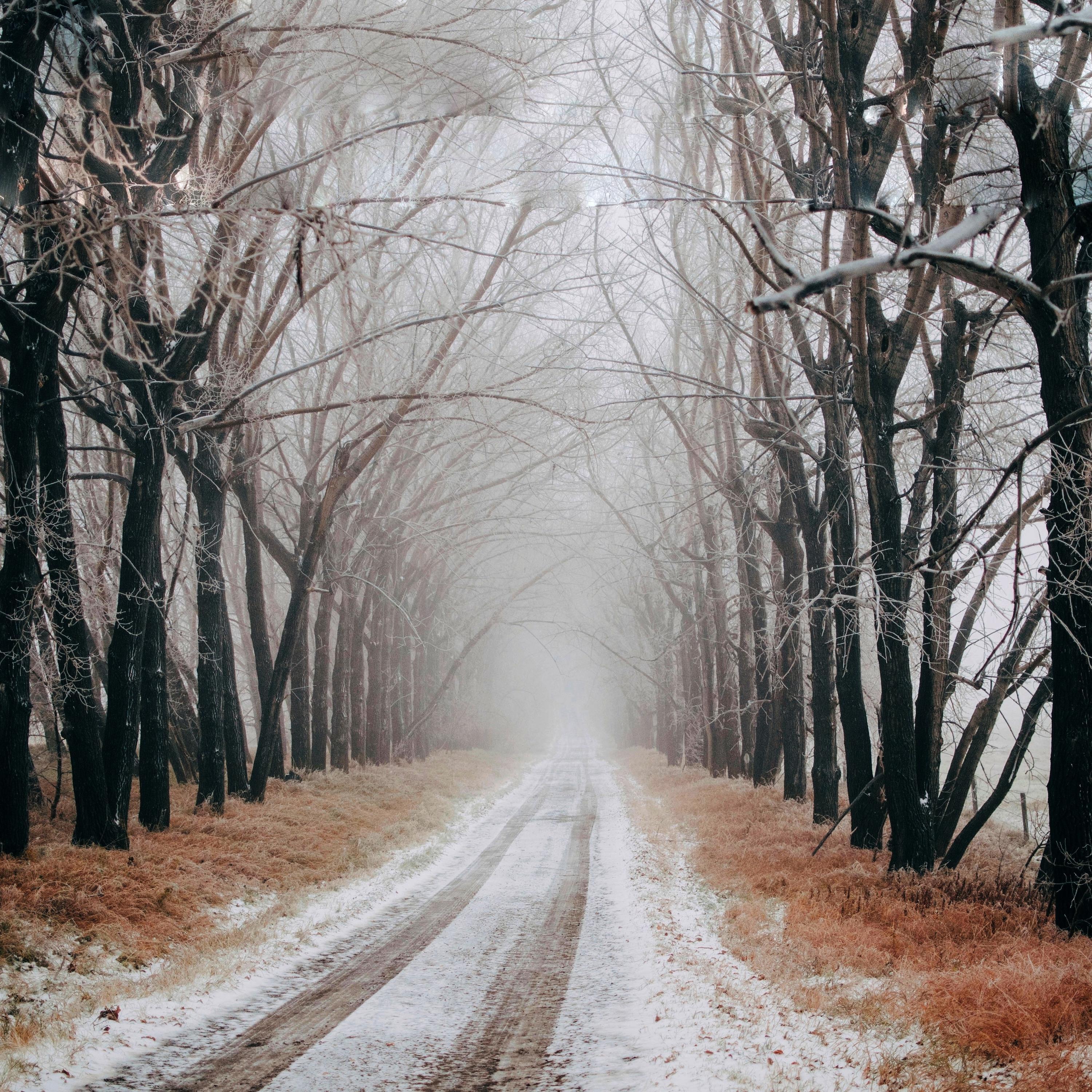 Релиз Seasons