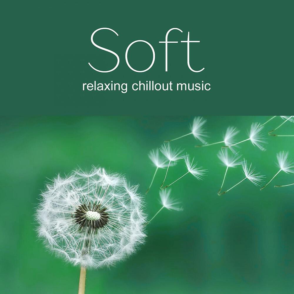 Релиз Soft Music 2017
