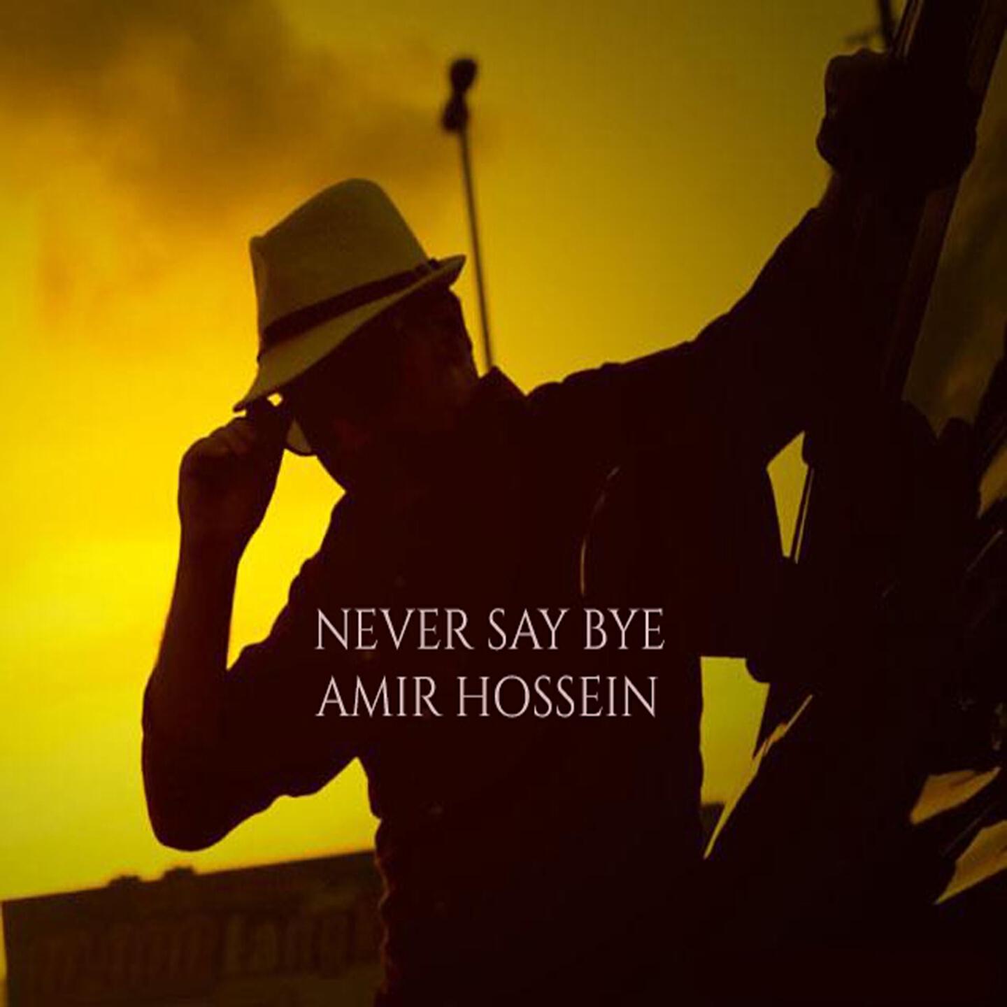 Релиз Never Say Bye