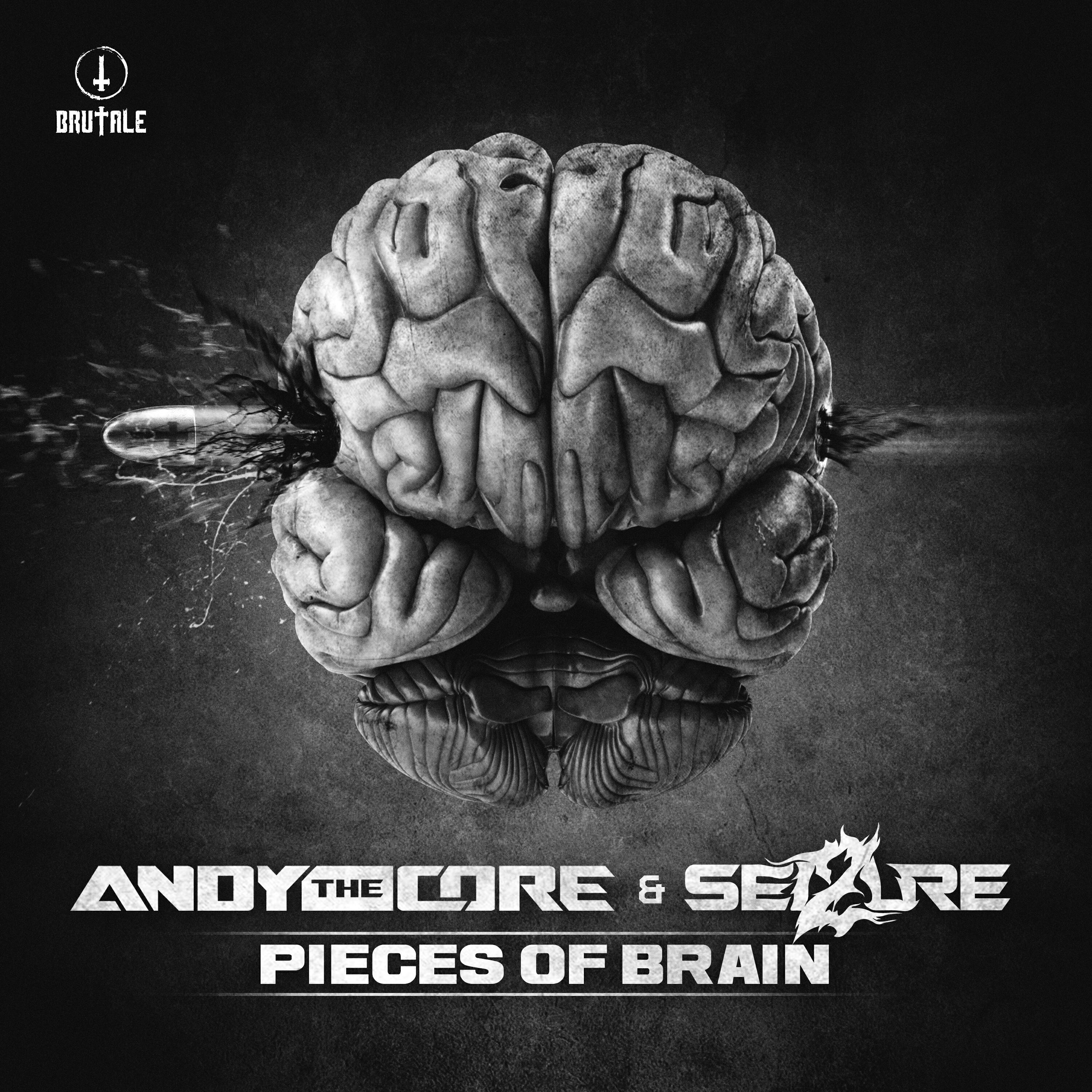 Релиз Pieces of brain