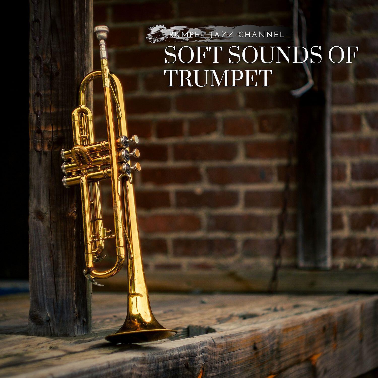 Релиз Soft Sounds of Trumpet, Rest & Relax