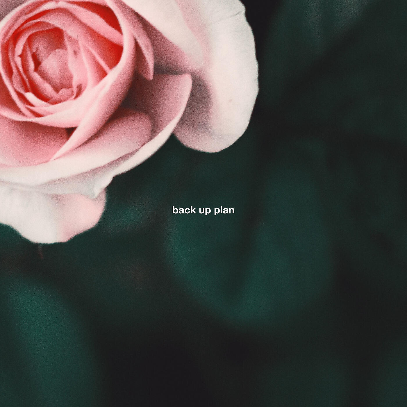 Релиз Back up Plan
