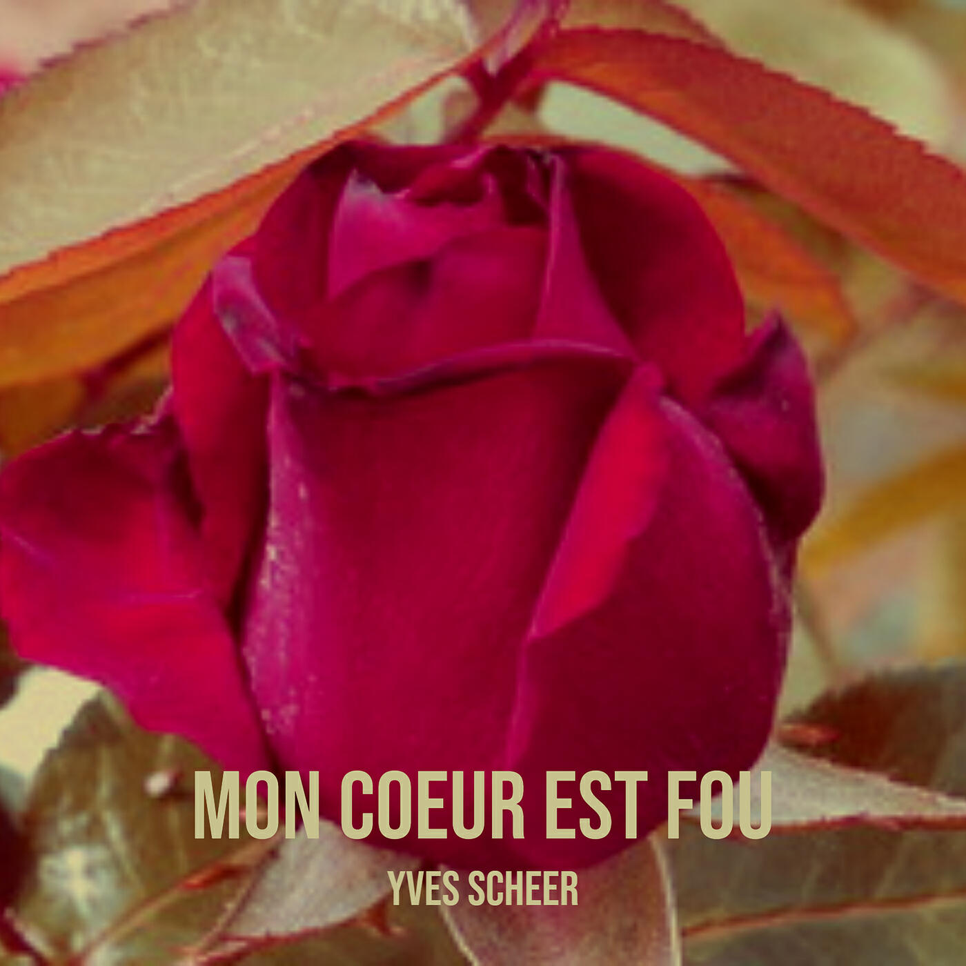 Релиз Mon coeur est fou