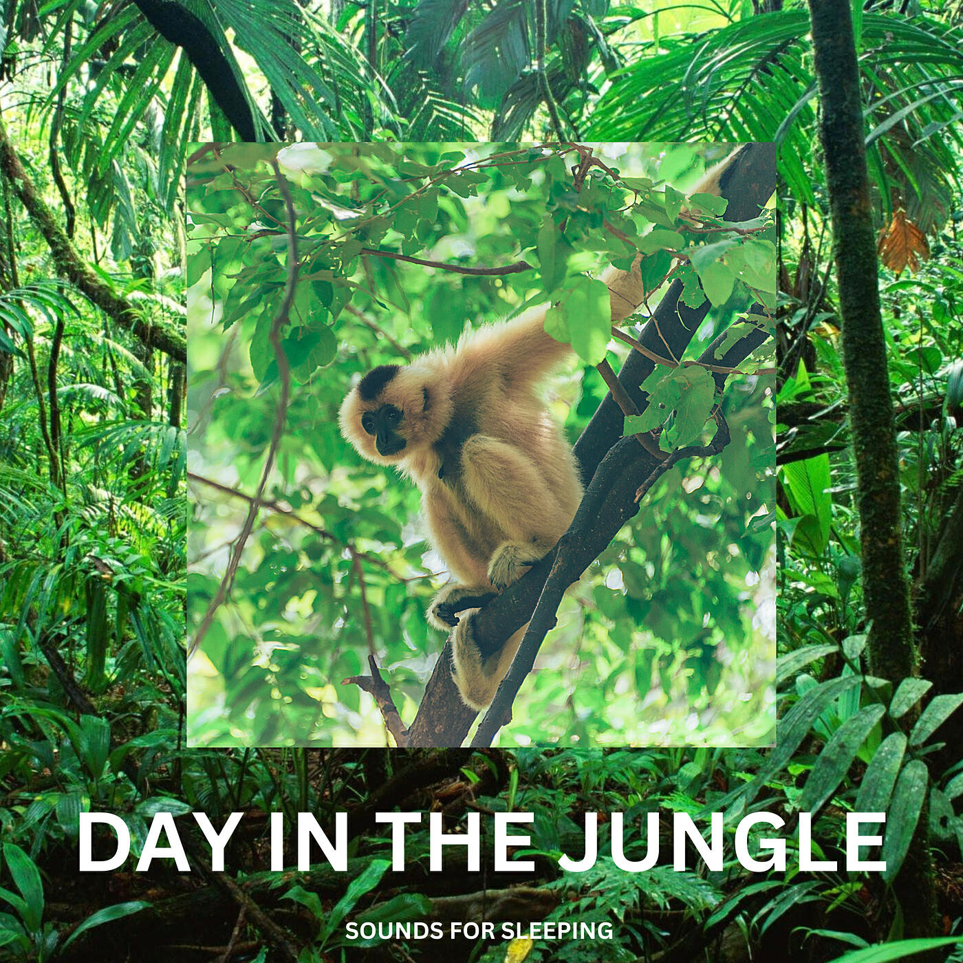 Релиз Day in the Jungle