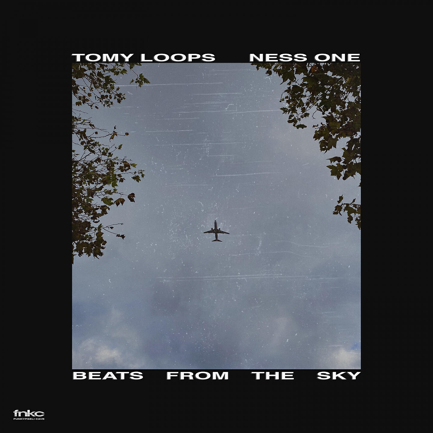 Релиз Beats from the Sky