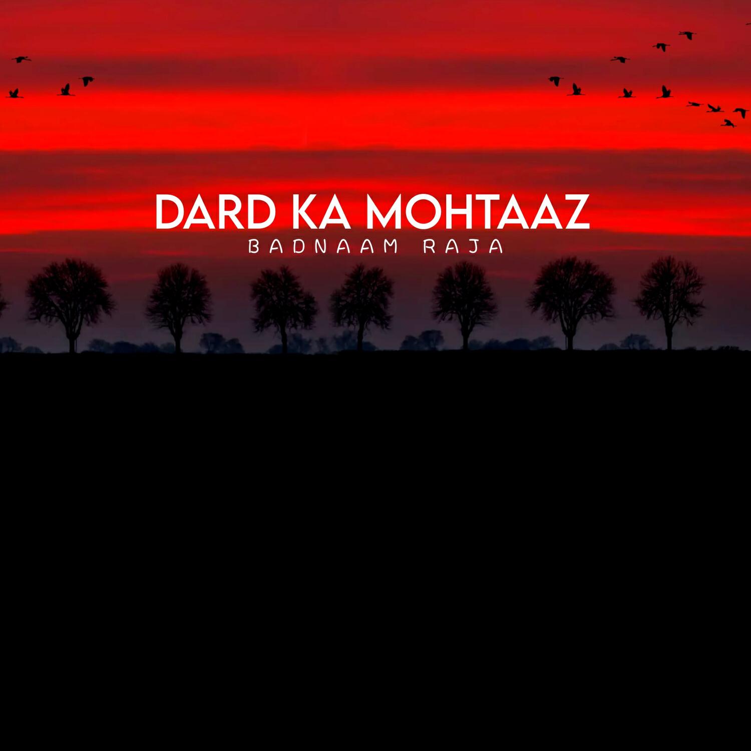 Badnaam Raja