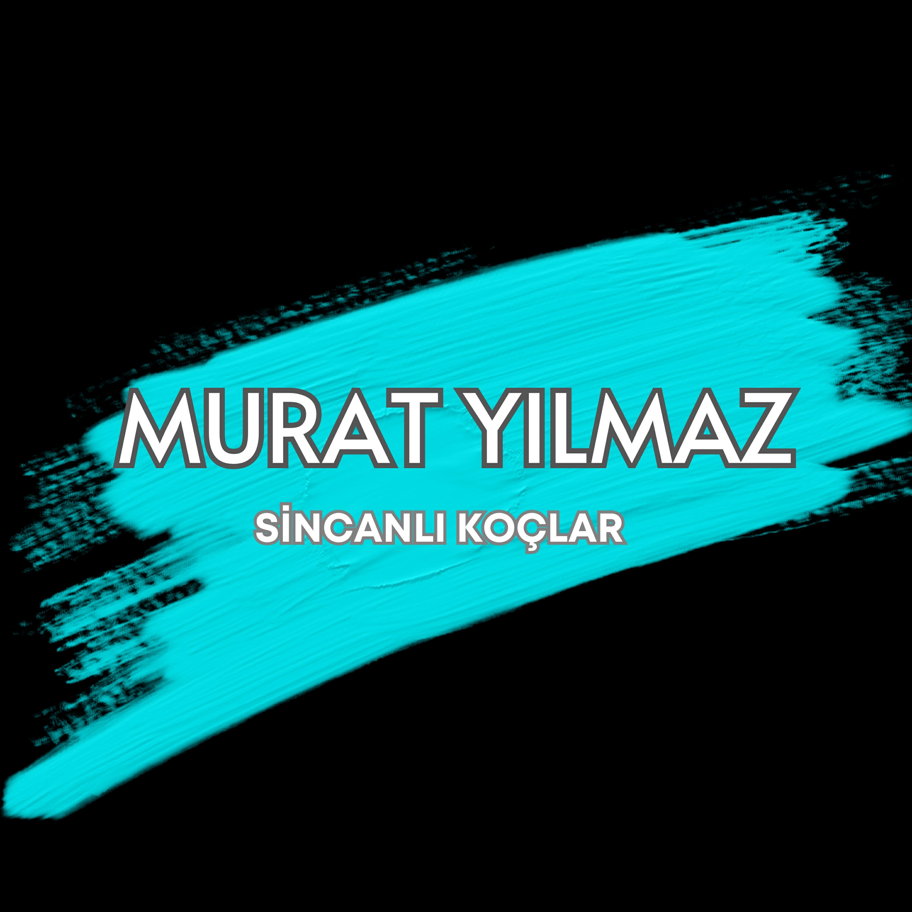 Релиз Sincanlı Koçlar