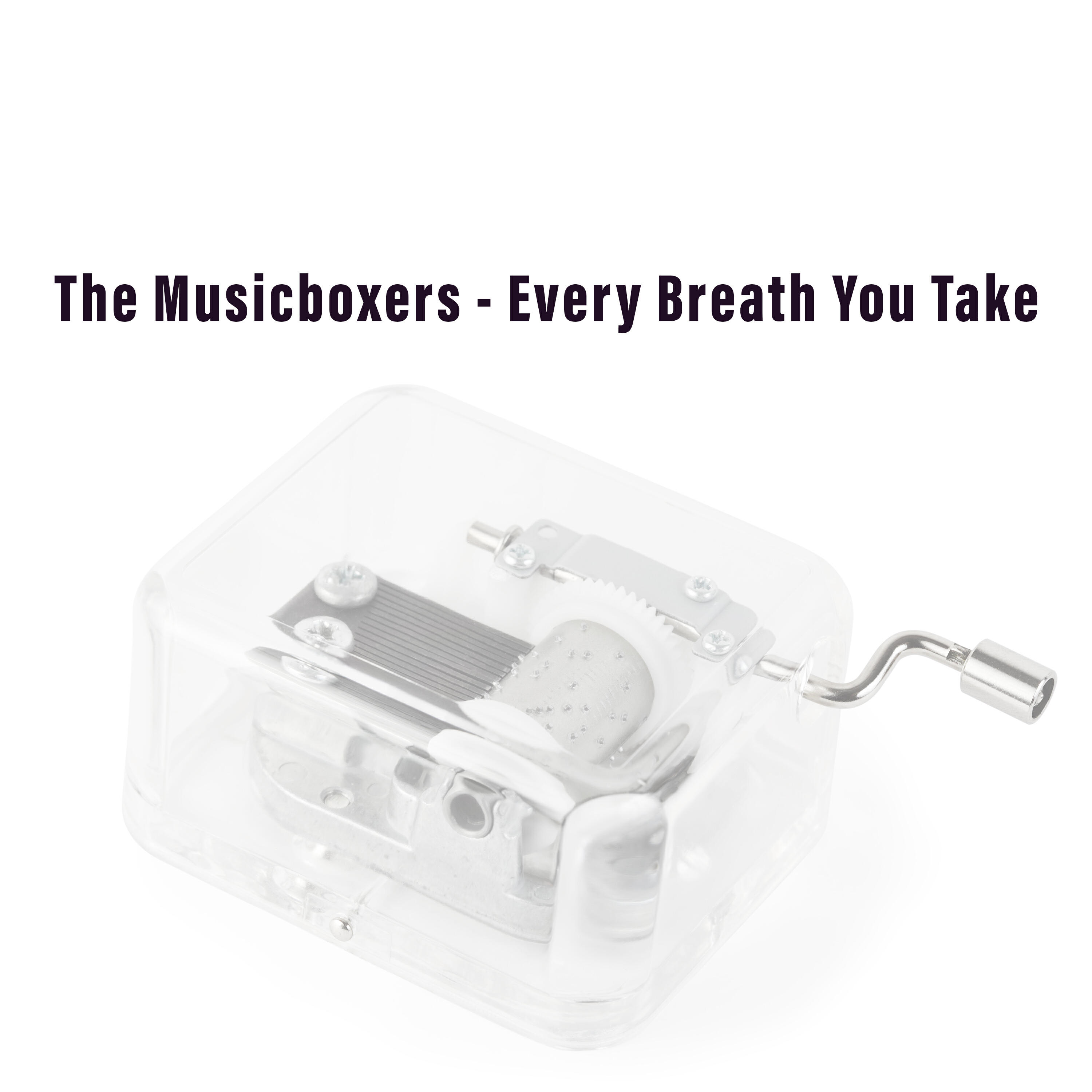 The Musicboxers