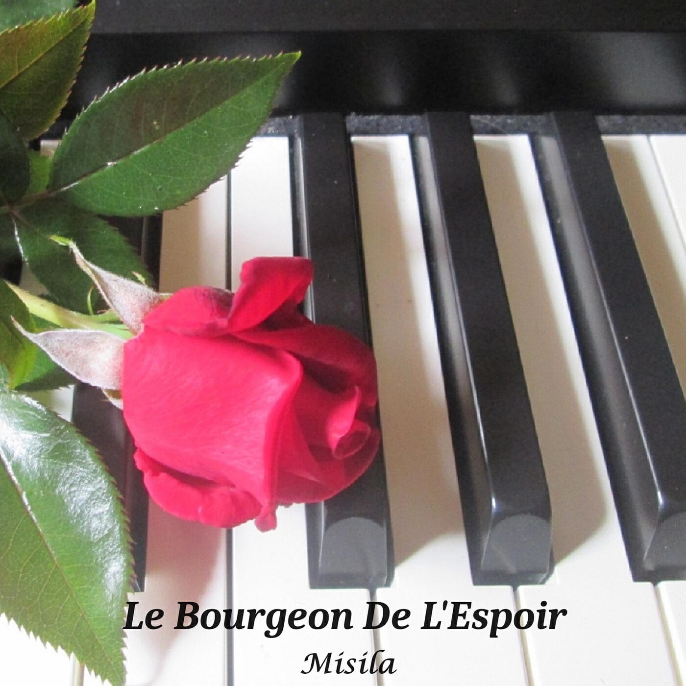 Релиз Le Bourgeon De L'Espoir