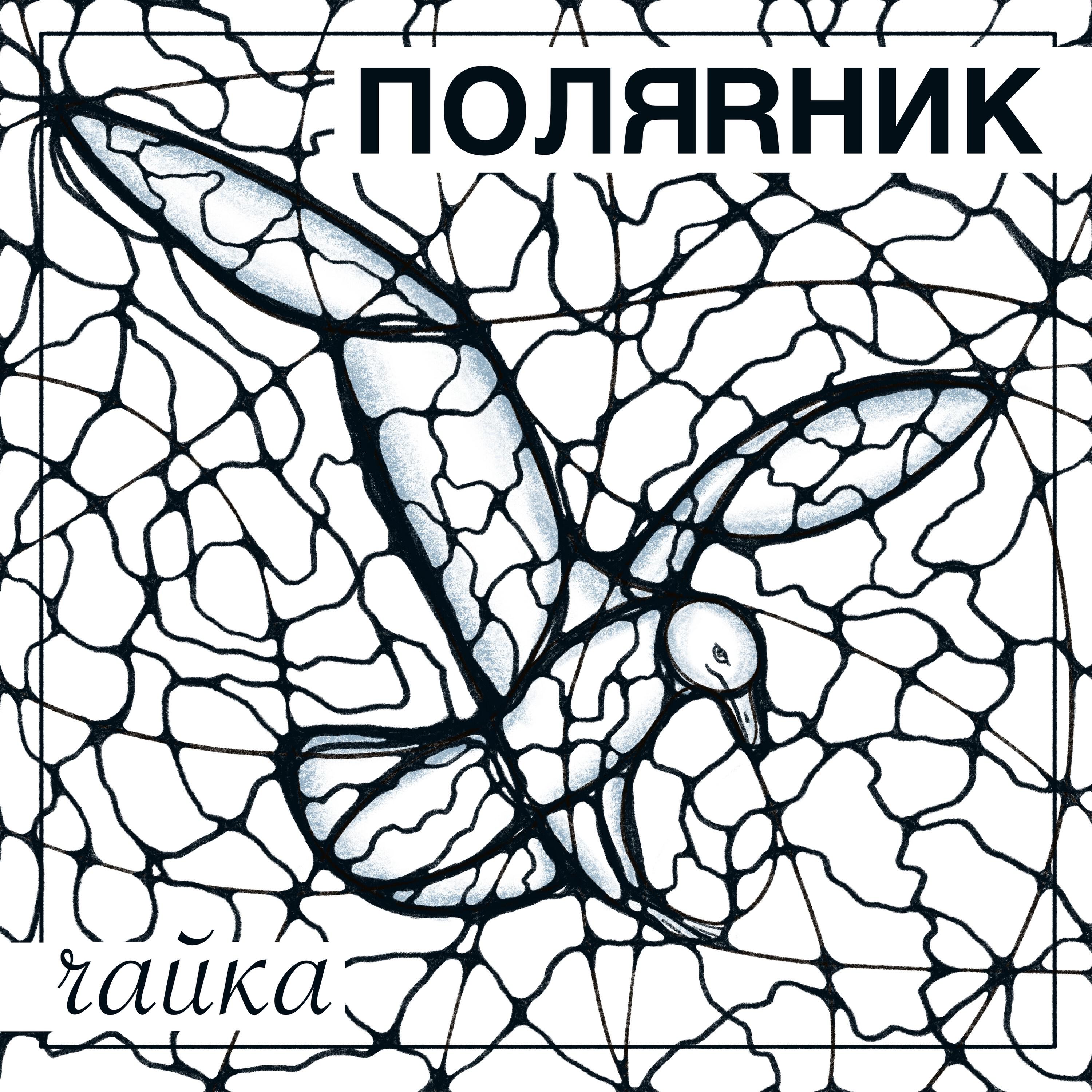 Релиз Чайка