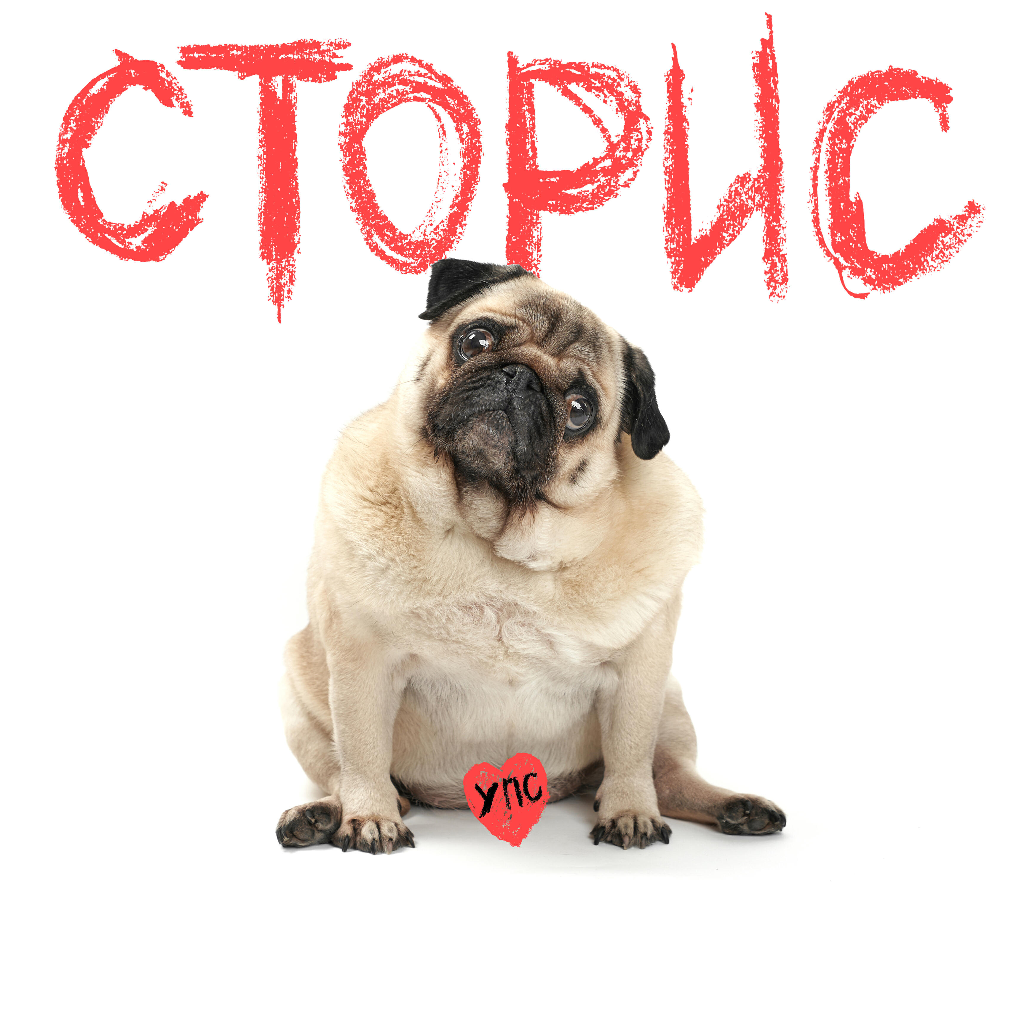 Релиз Сторис