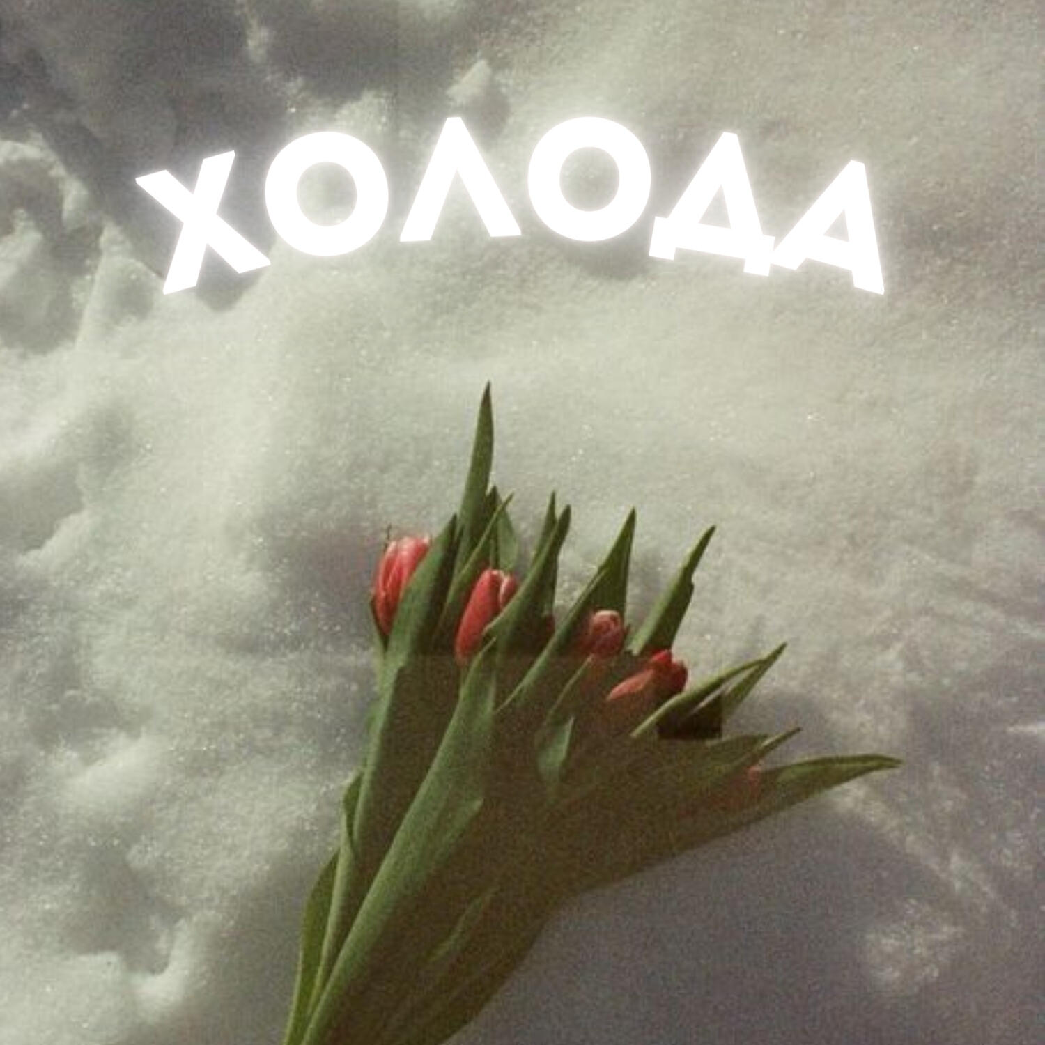 Релиз Холода