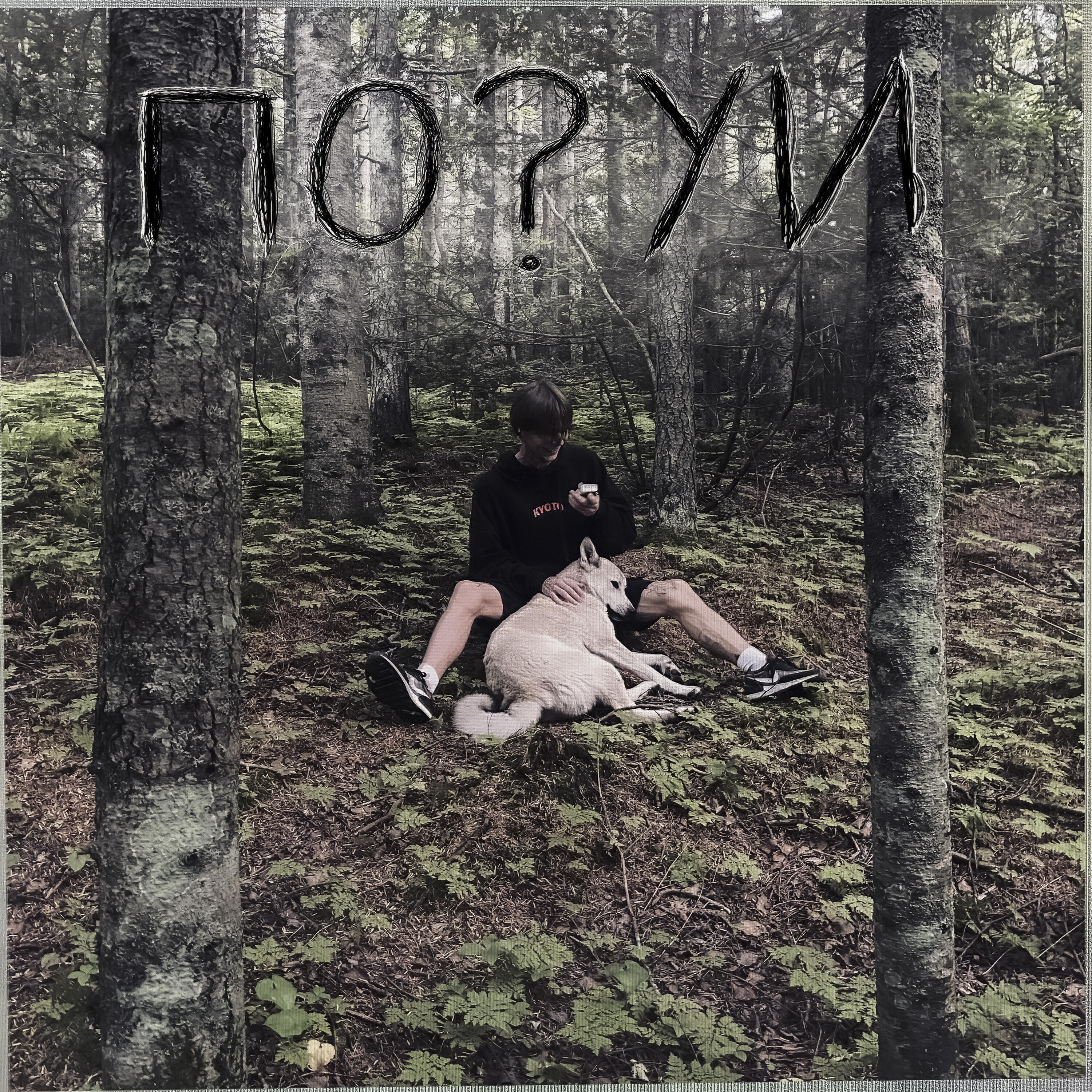 Постер альбома По?уй