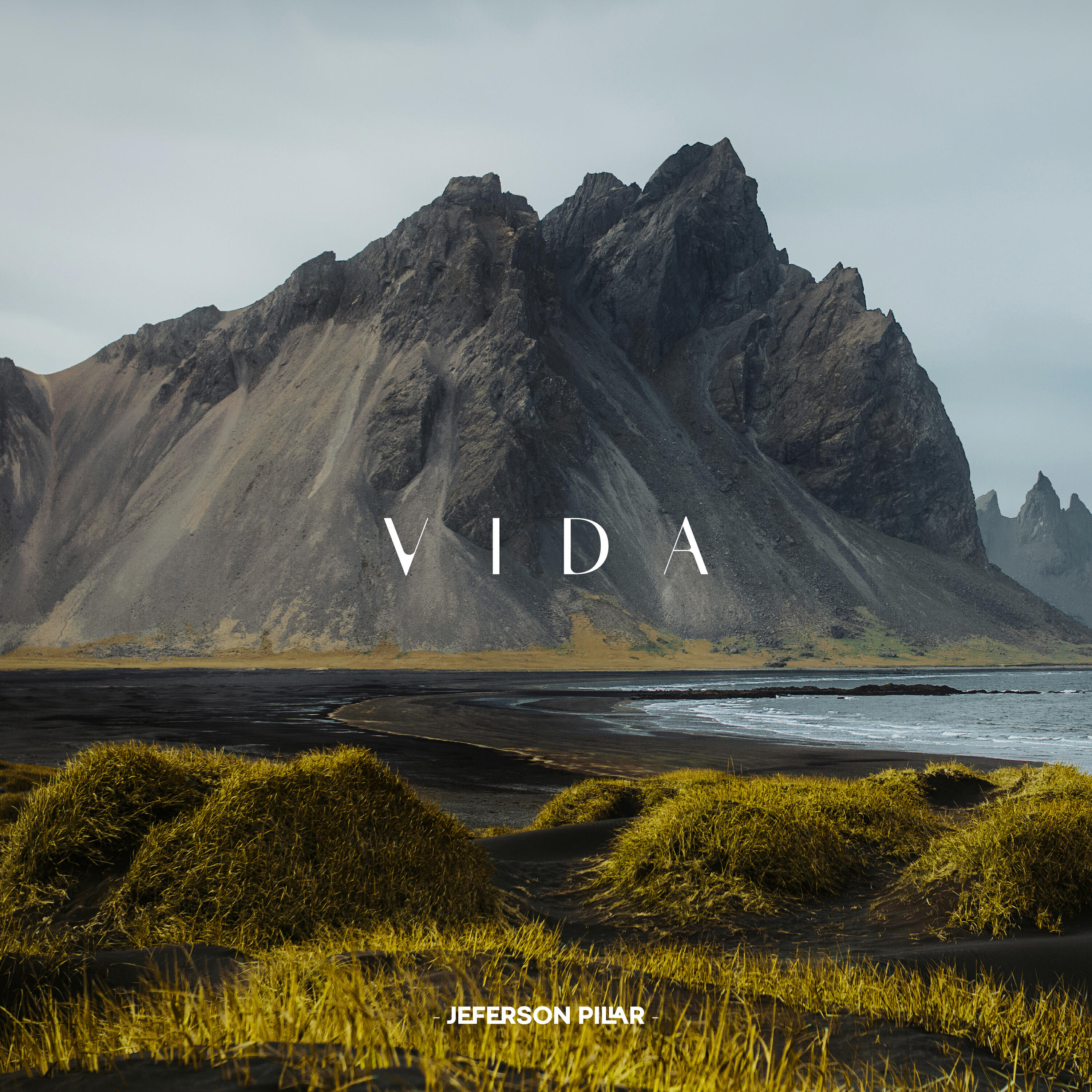 Релиз Vida