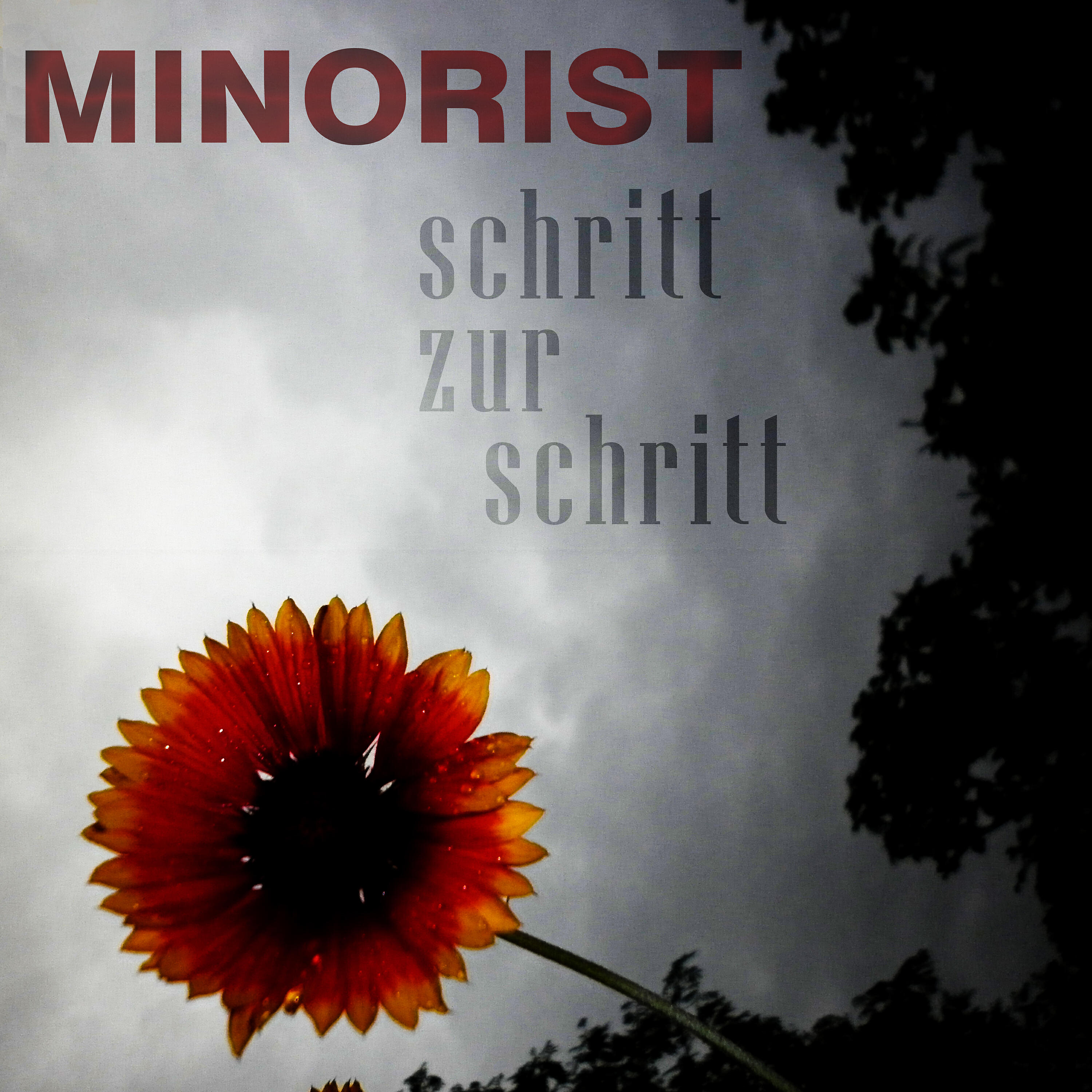 Постер альбома Schritt zur Schritt