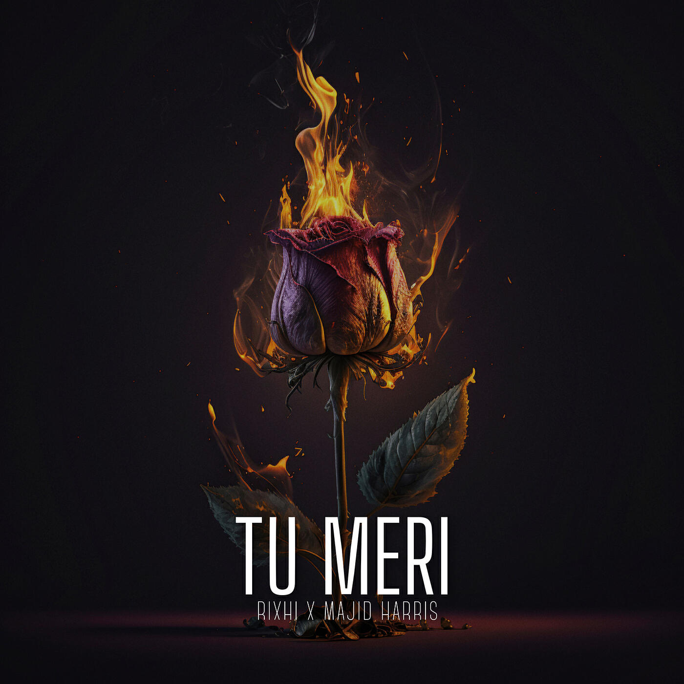 Релиз Tu Meri
