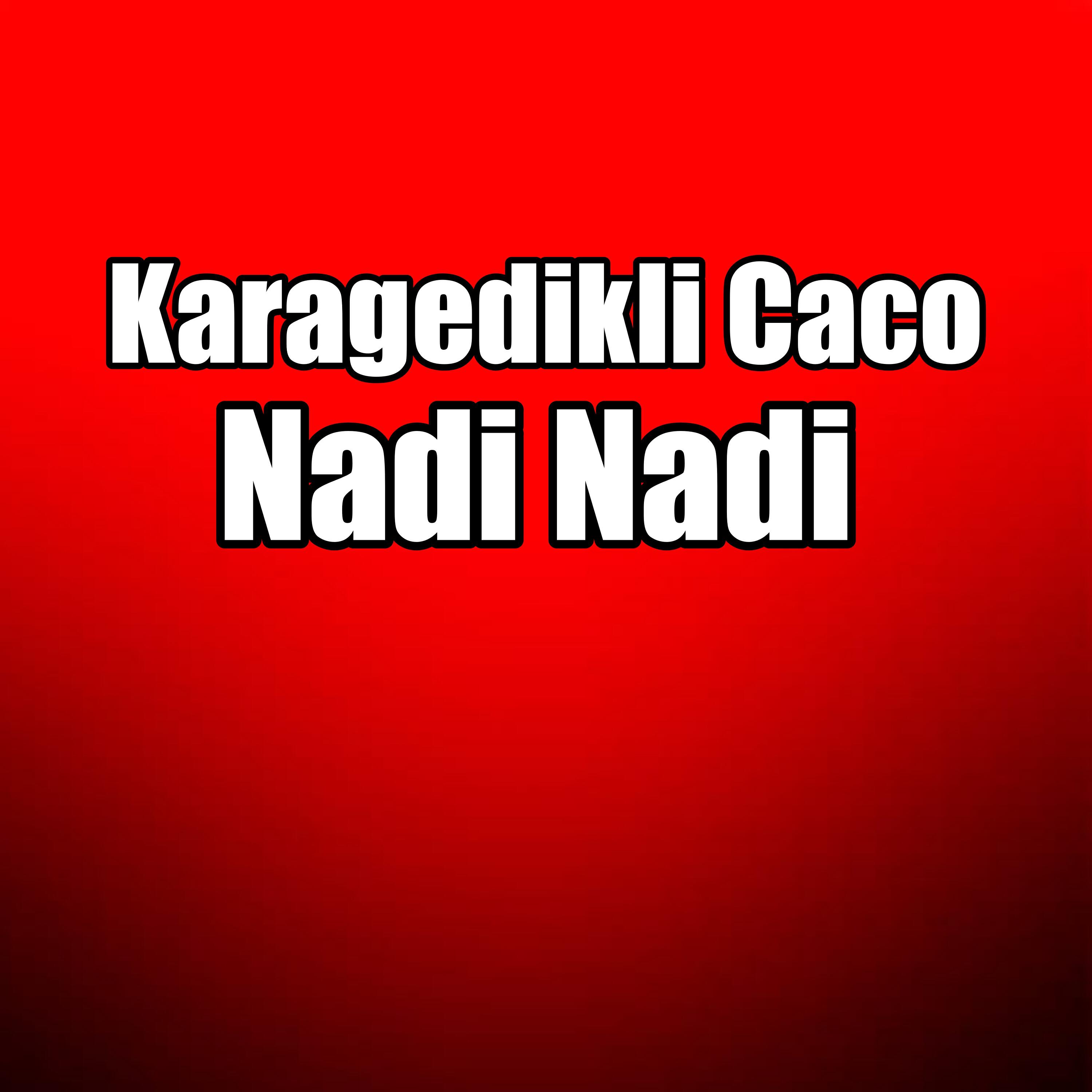 Релиз Nadi Nadi